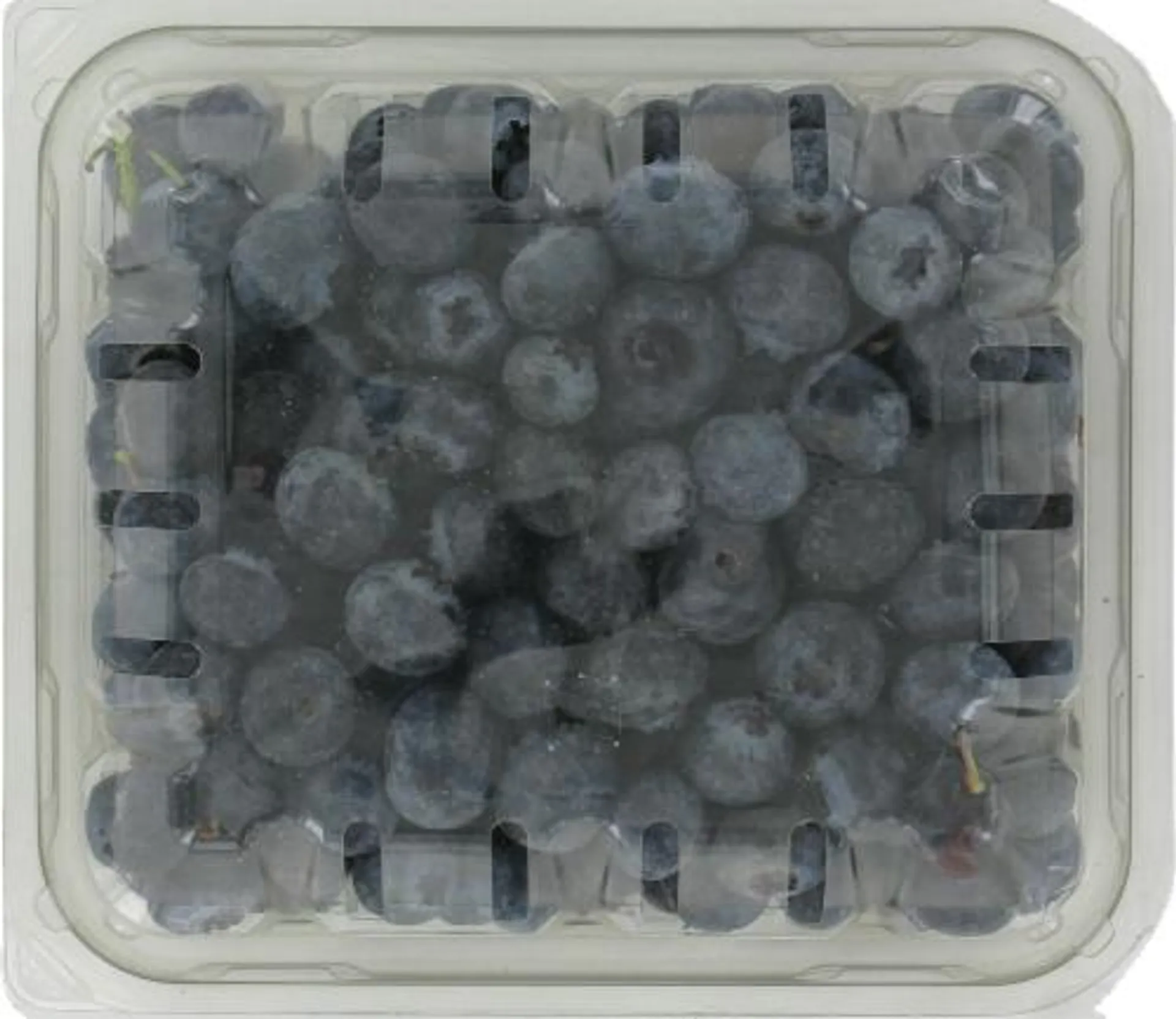 Blueberries, 1 ct