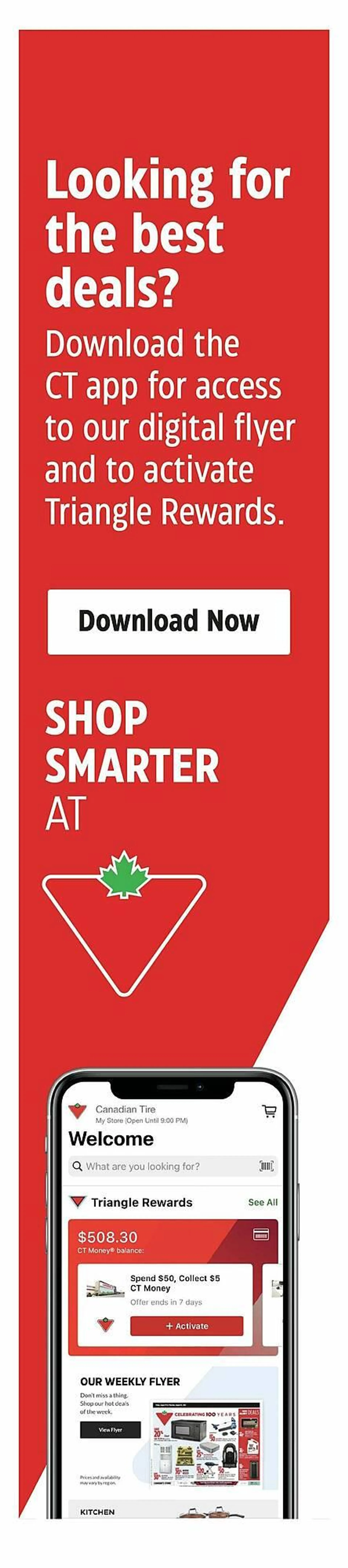 Canadian Tire flyer from October 3 to November 7 2024 - flyer page 10