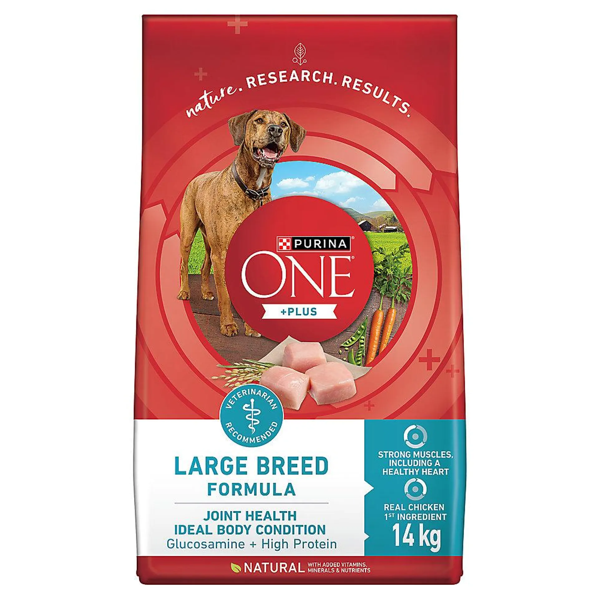 Purina ONE Plus Natural Large Breed Formula