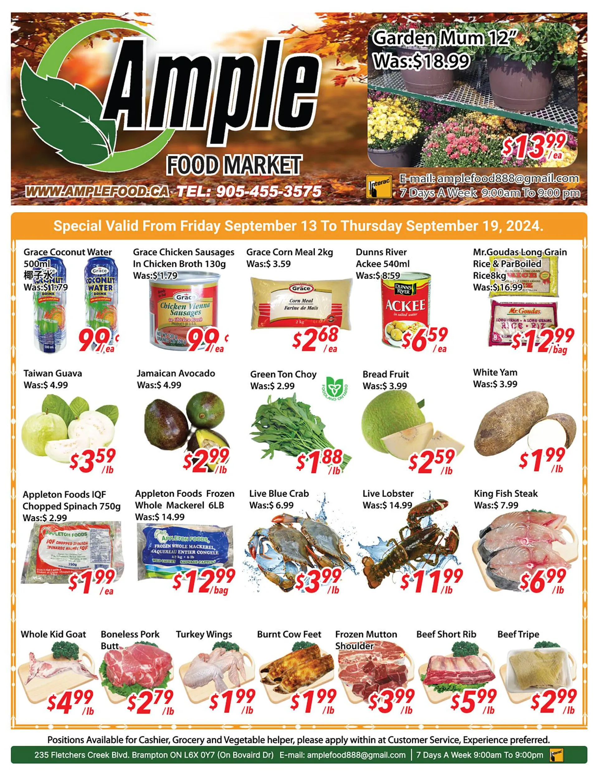 Ample Food Market flyer - 1