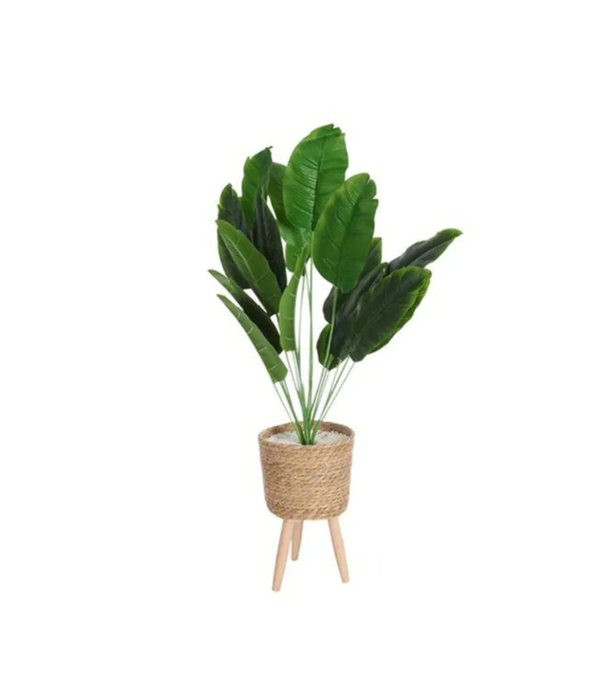 LAUREN TAYLOR GREEN LEAF PLANT IN A TRIPOD POT 38.5"