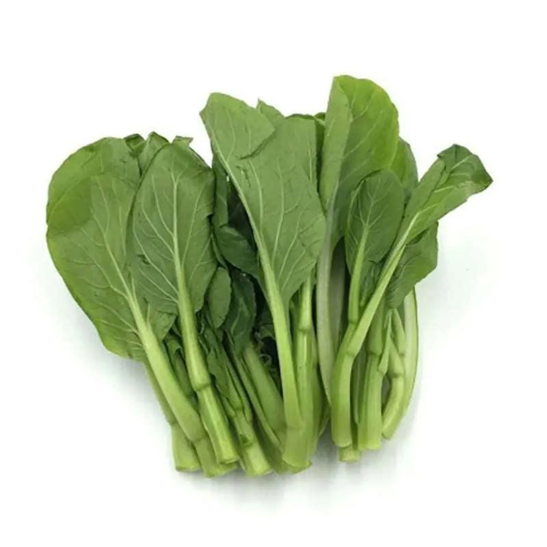 Yu Choy Miu (1LB)