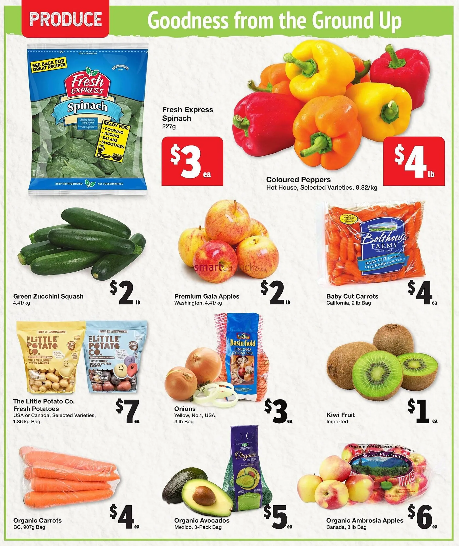 Quality Foods flyer from January 2 to January 15 2025 - flyer page 2