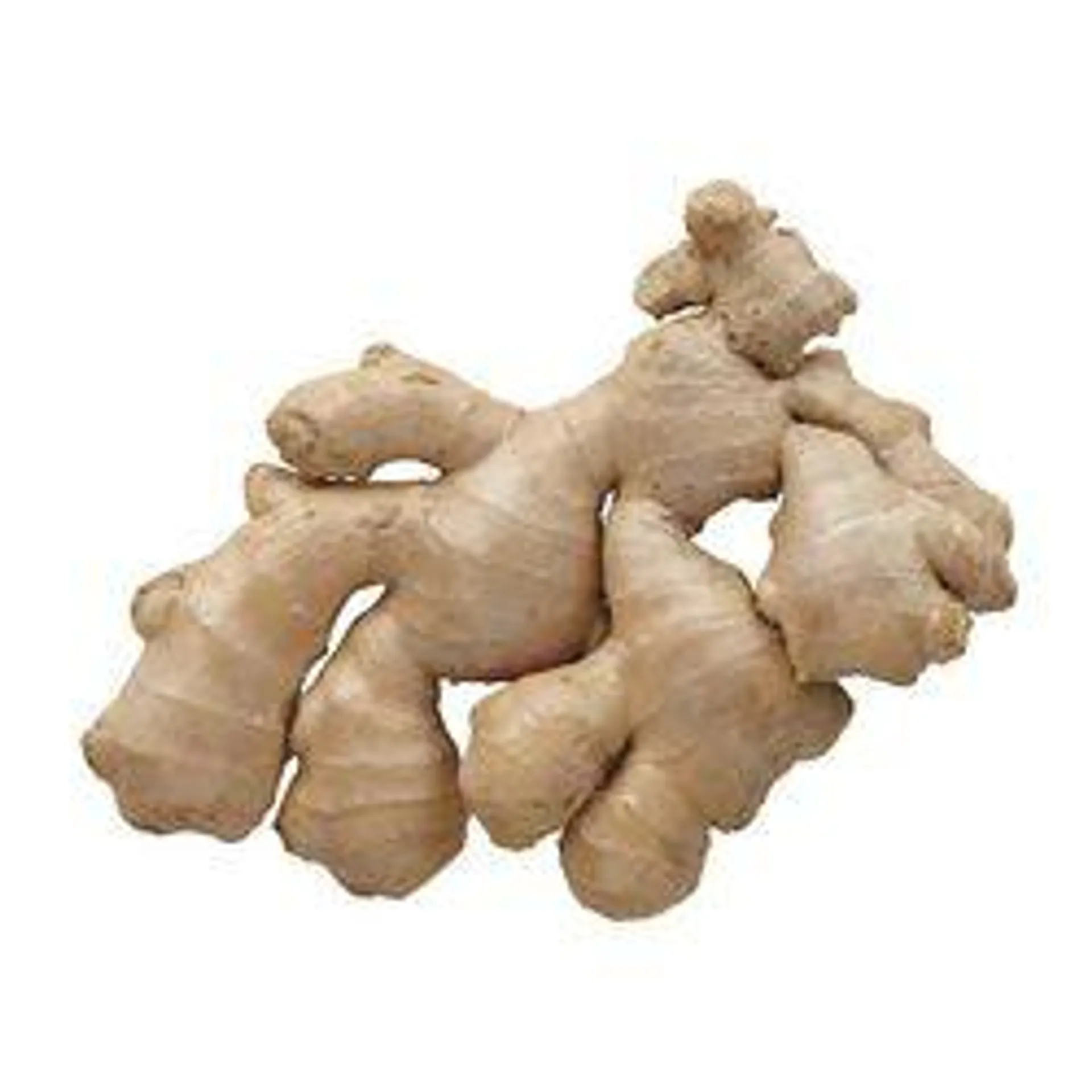 Fresh Ginger