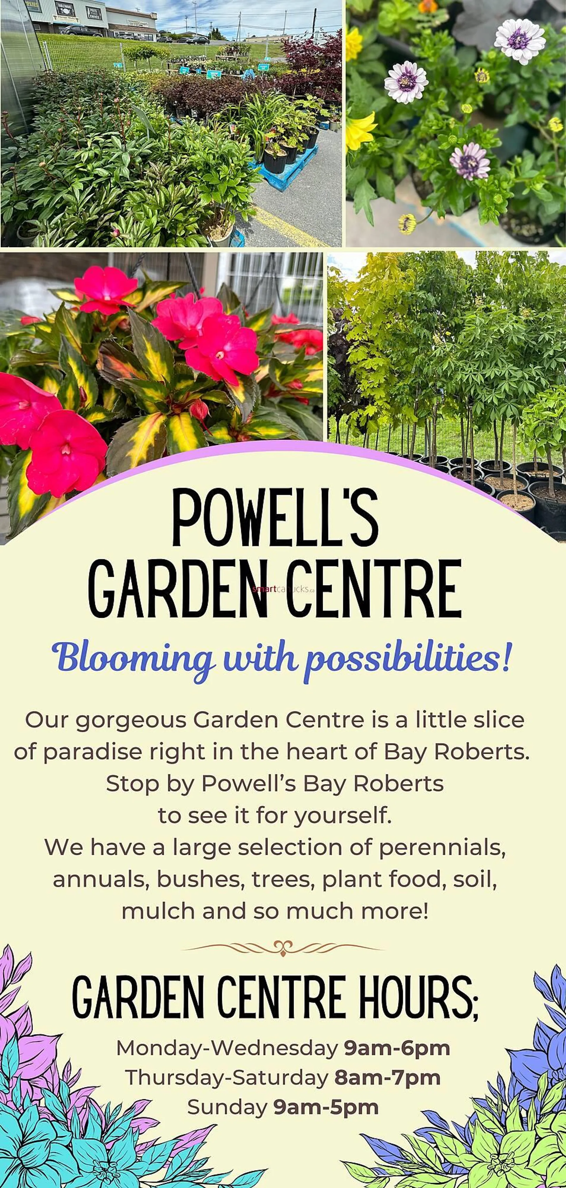 Powell's Supermarket flyer from June 27 to July 3 2024 - flyer page 7