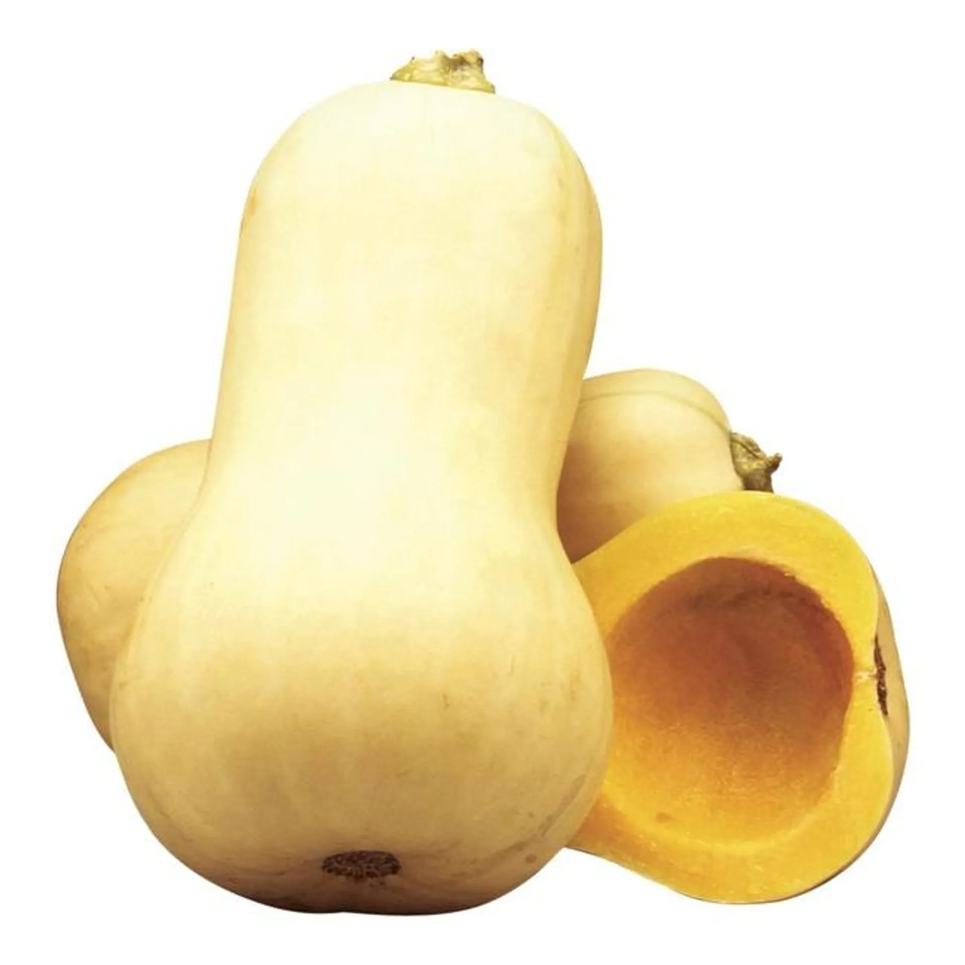 Butternut Squash