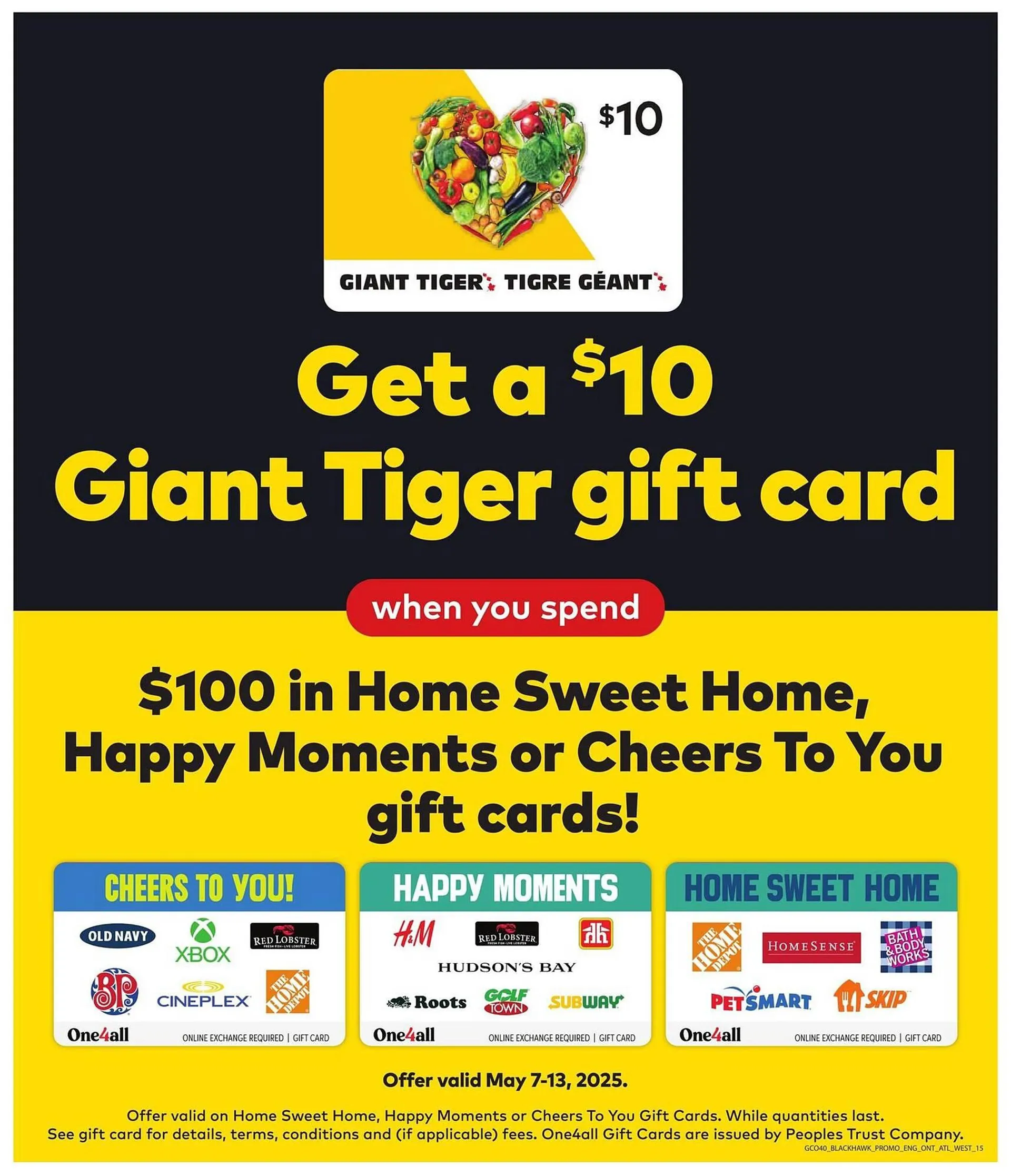 Giant Tiger flyer from May 8 to May 21 2025 - flyer page 17