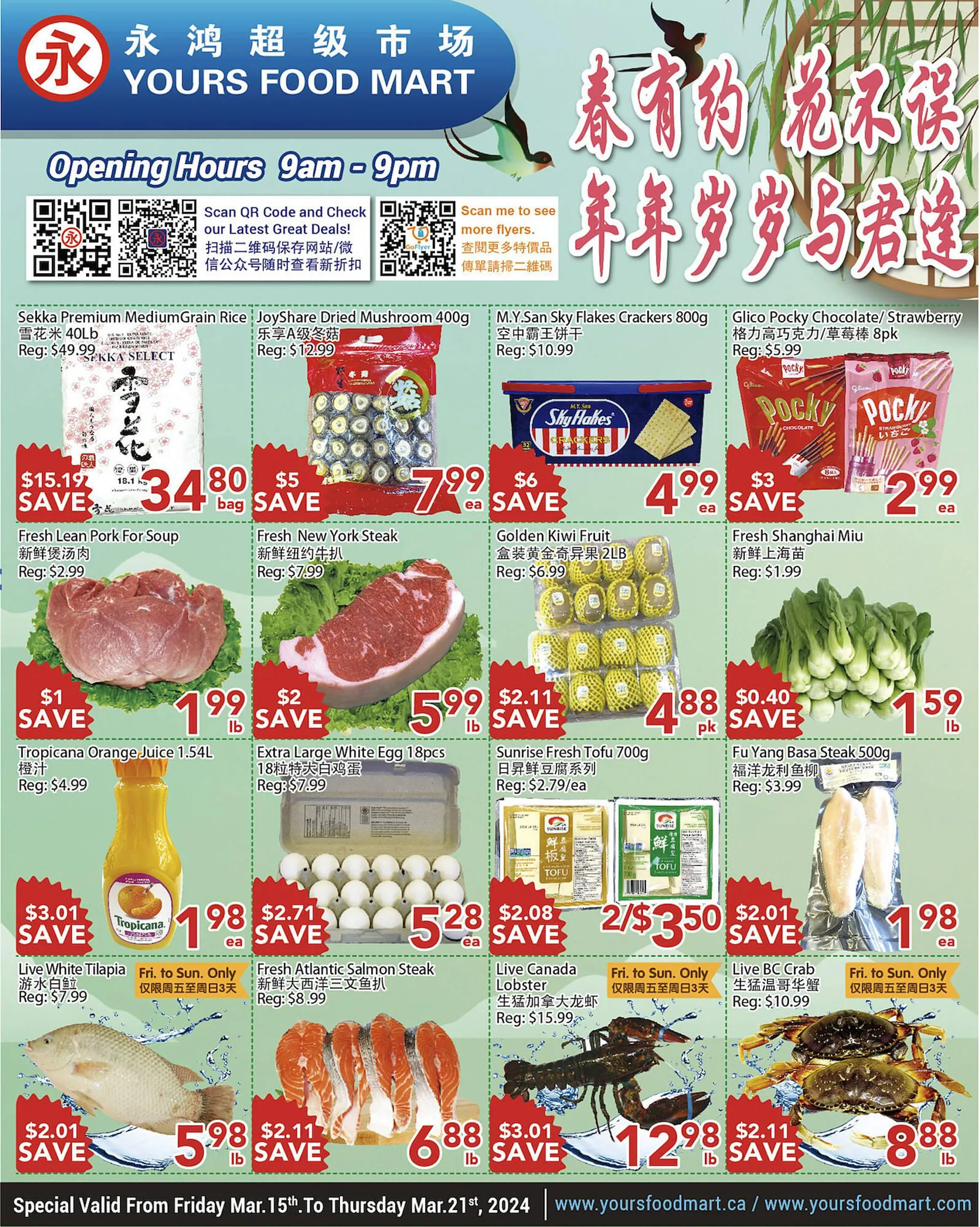 Yours Food Mart flyer from March 15 to March 21 2024 - flyer page 1