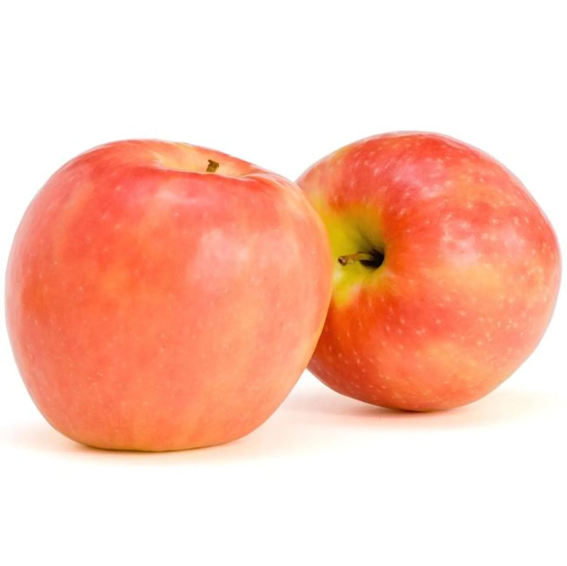 Apples Pink Lady