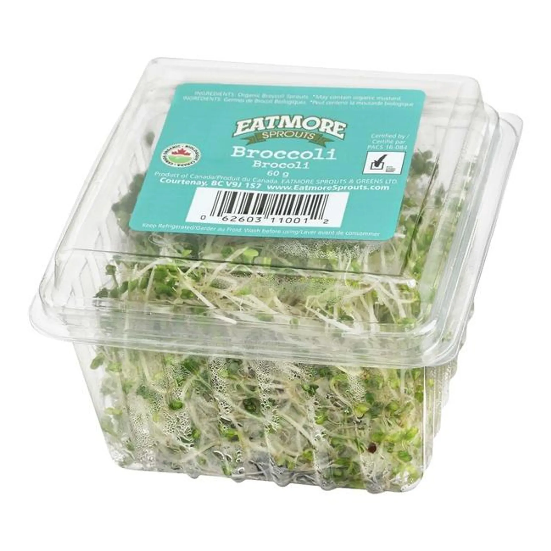 Eatmore Sprouts - Organic Broccoli Sprouts