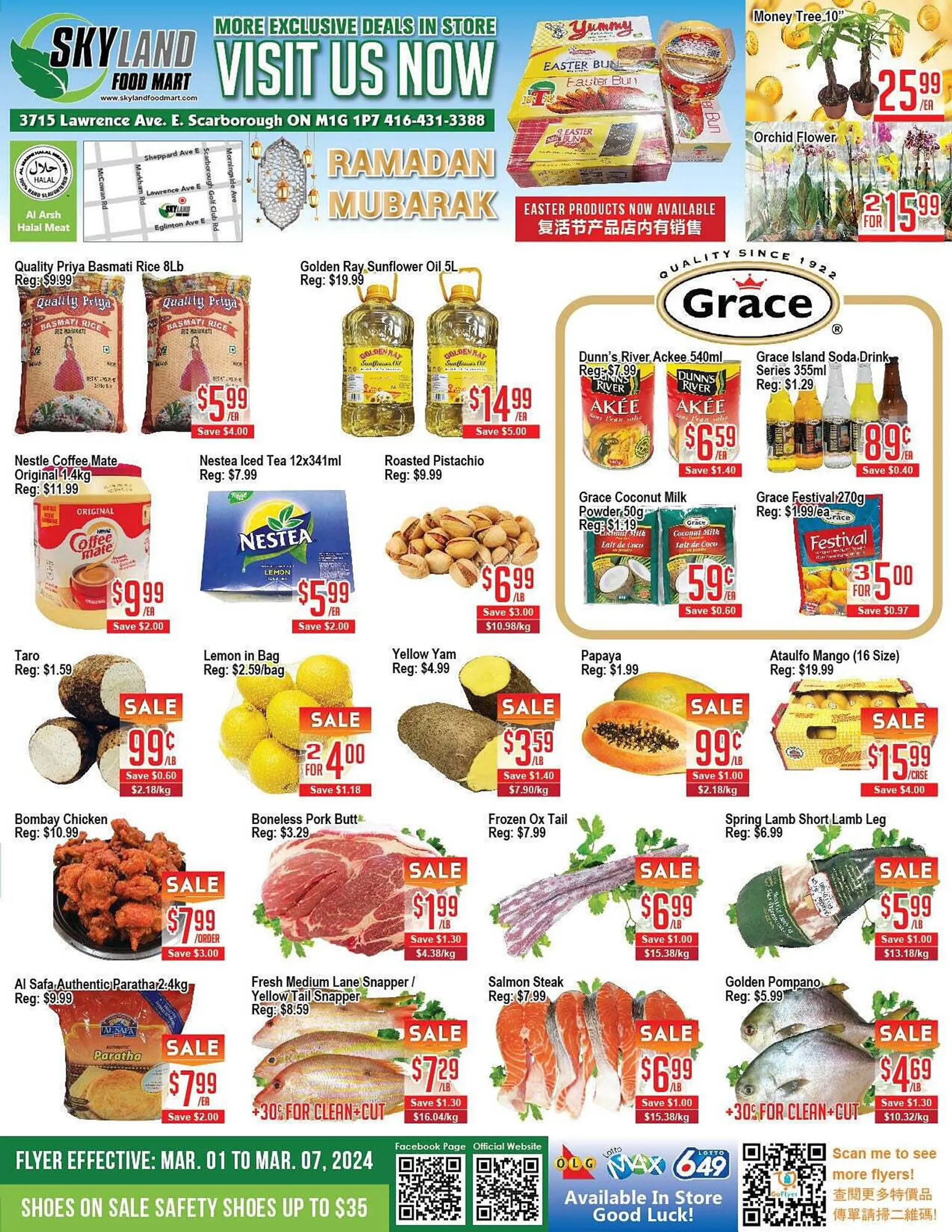 Skyland Foodmart flyer from March 1 to March 8 2024 - flyer page 