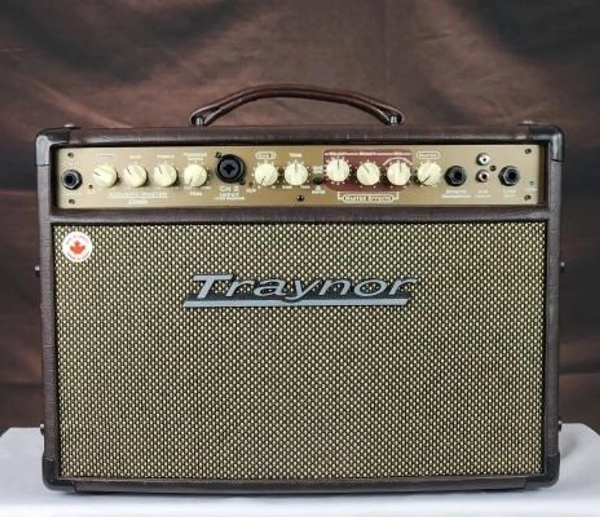 Traynor - 2-Channel Compact Stereo Acoustic Guitar Amp - 65 Watts