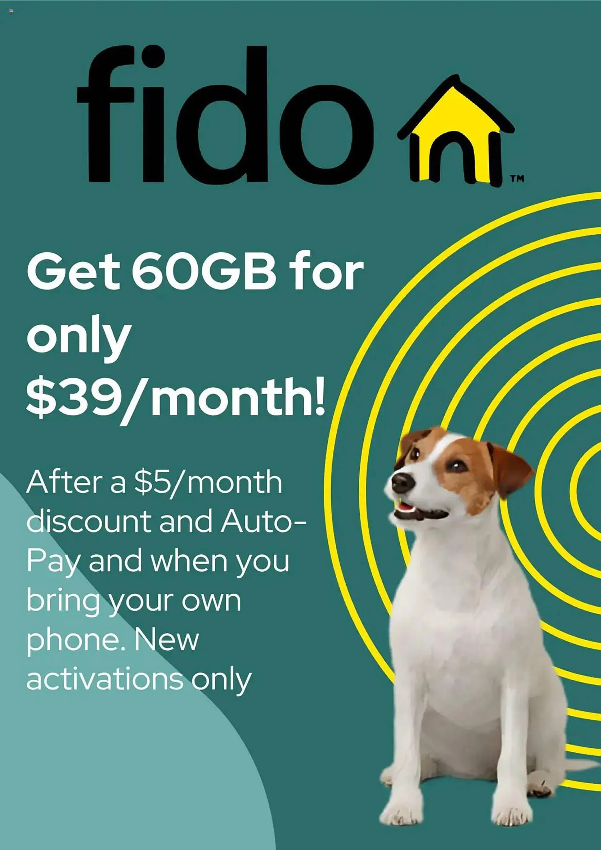 Fido flyer - 1
