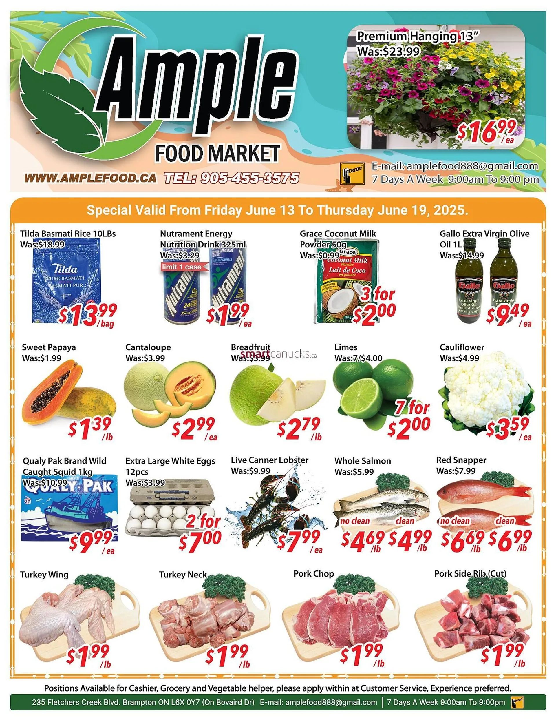Ample Food Market flyer from June 13 to June 19 2025 - flyer page 1