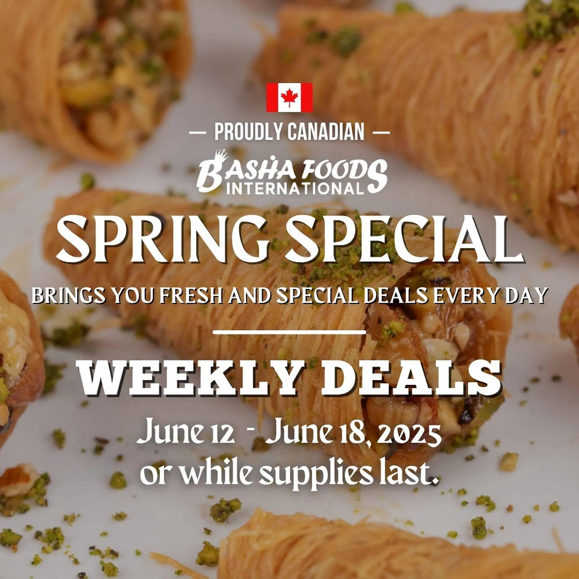 Basha Foods flyer from June 12 to June 18 2025 - flyer page 1
