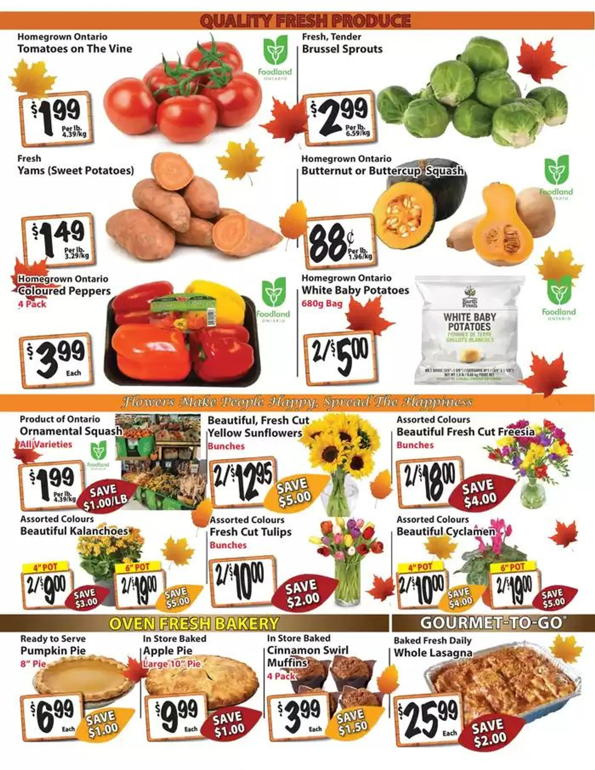 The Garden Basket from October 10 to October 24 2024 - flyer page 2