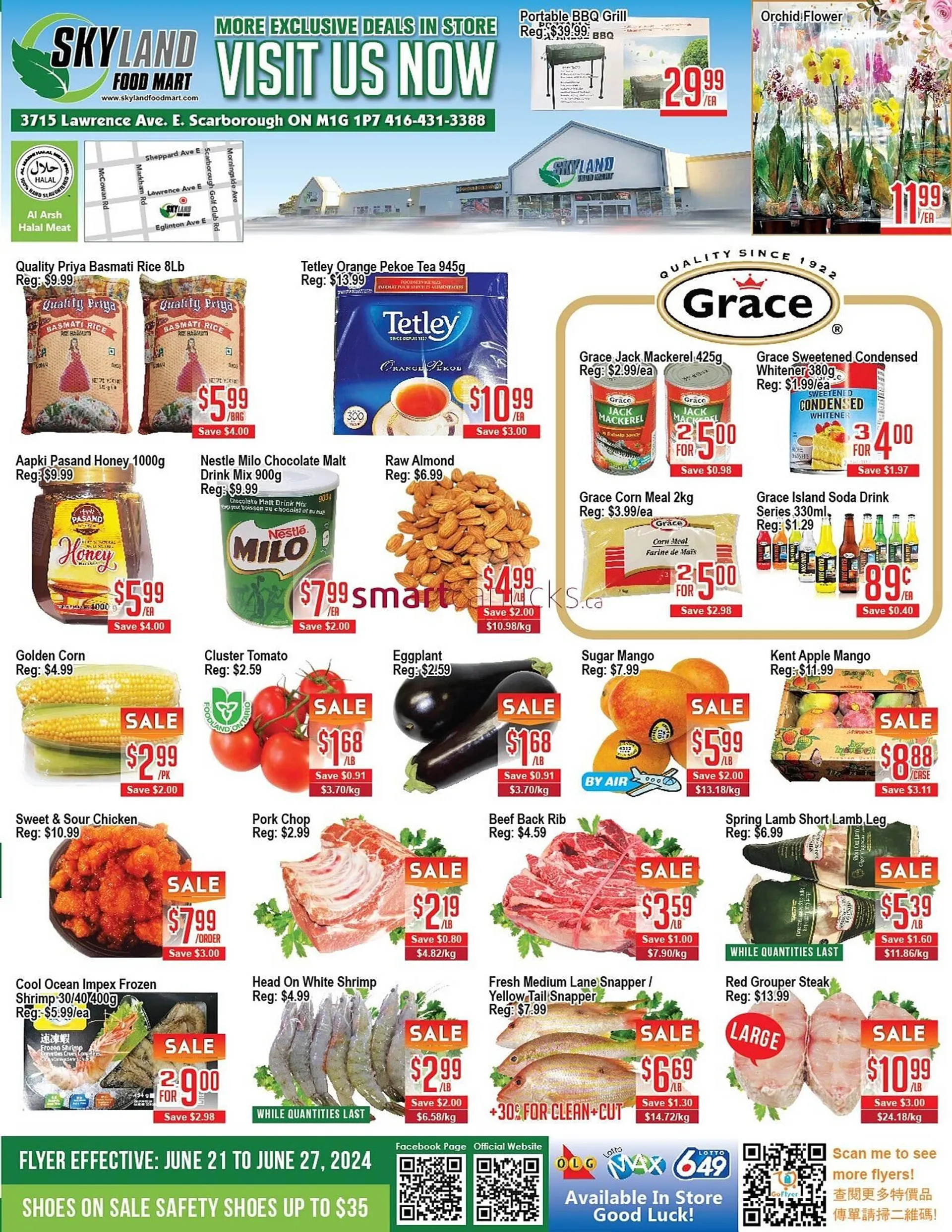 Skyland Foodmart flyer - 1