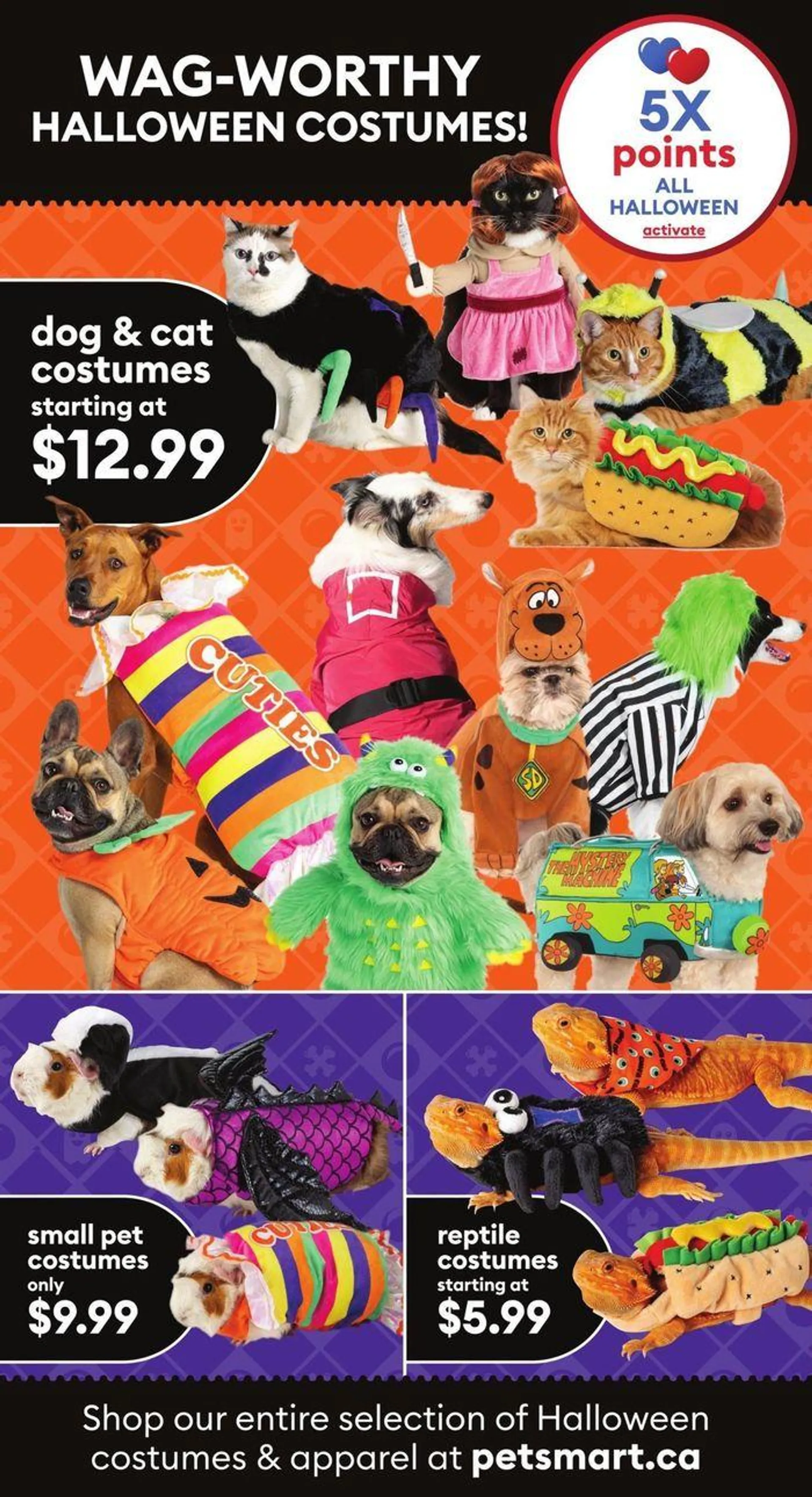 Petsmart Weekly ad from August 26 to October 31 2024 - flyer page 2