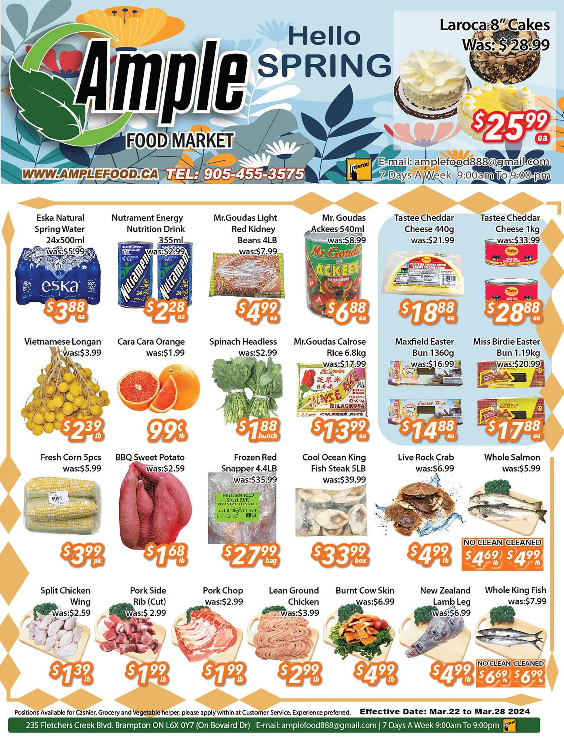 Ample Food Market flyer from March 22 to March 28 2024 - flyer page 1