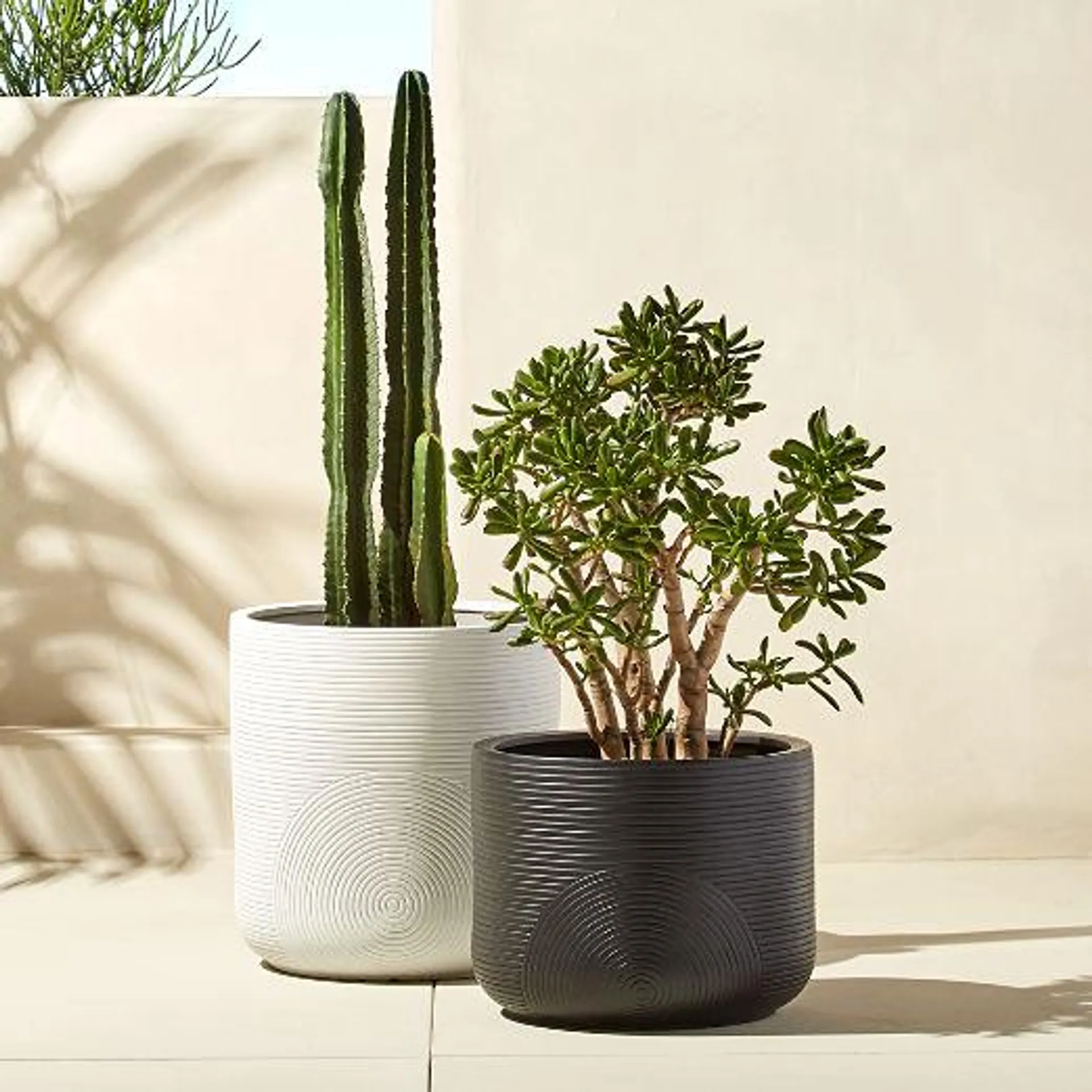 Zen White Clay Indoor/Outdoor Planter