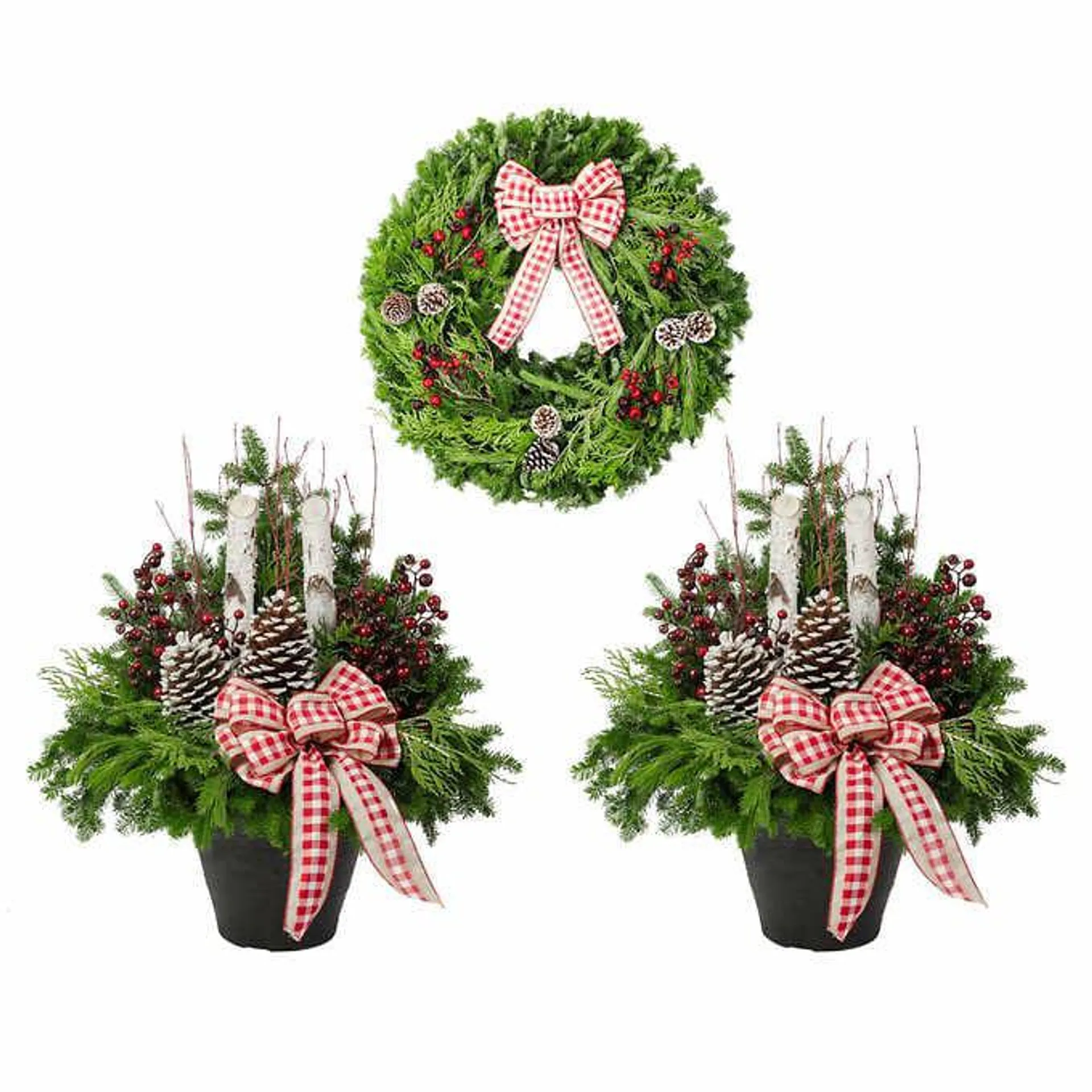 Premium Winter Garden Family – Country Theme – 3 Pack