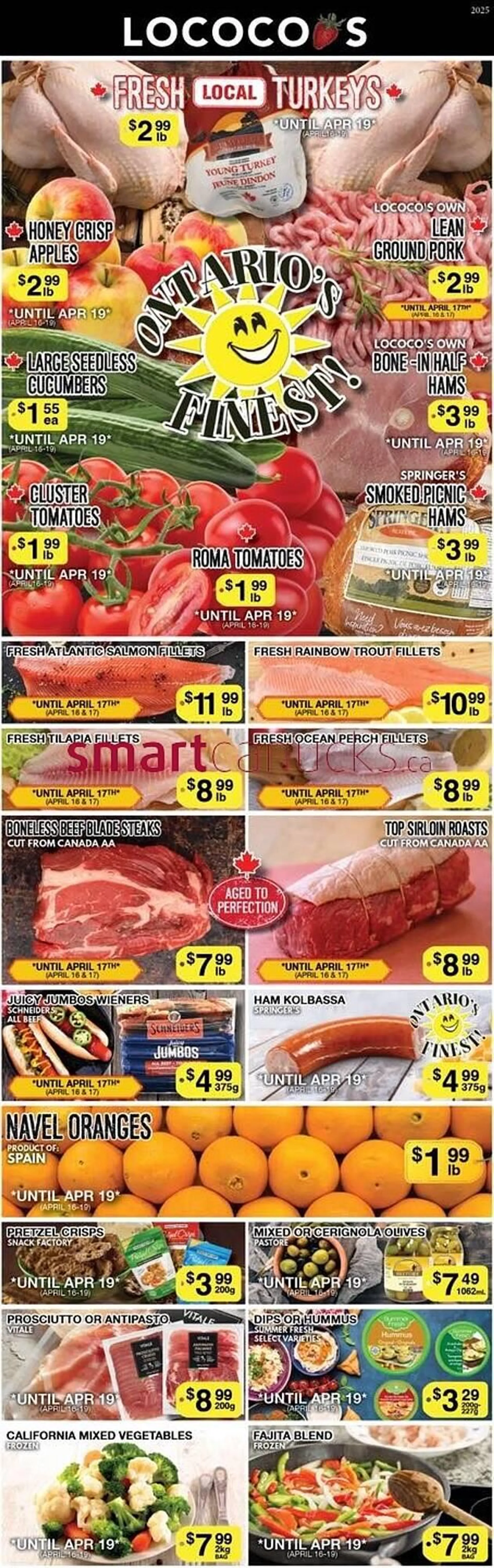 Lococos flyer - 1