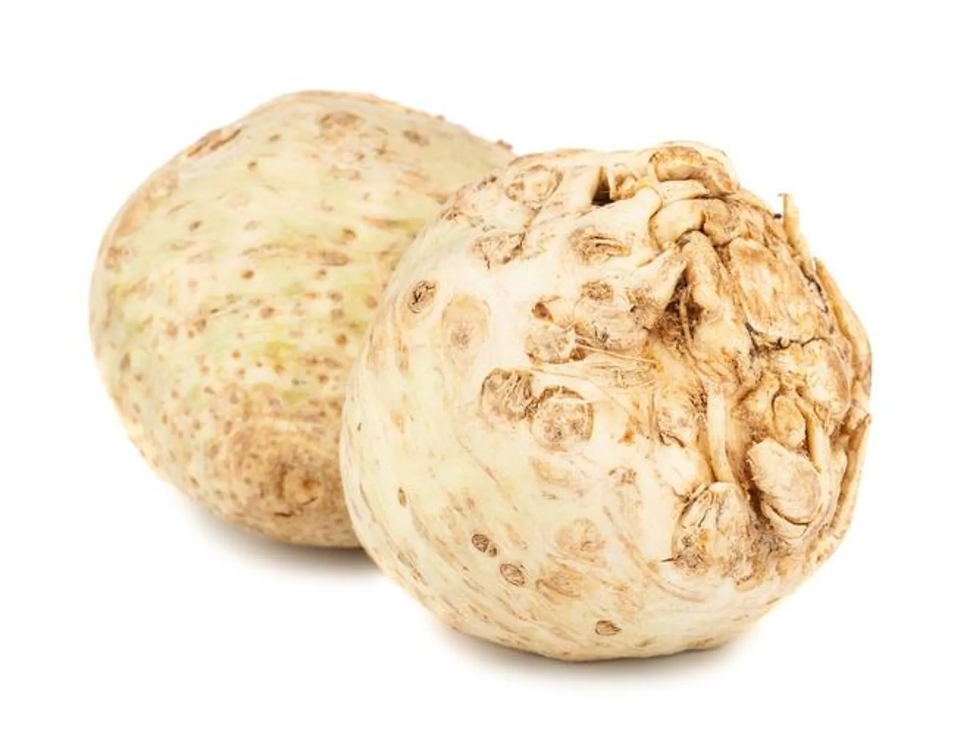 Celery - Root