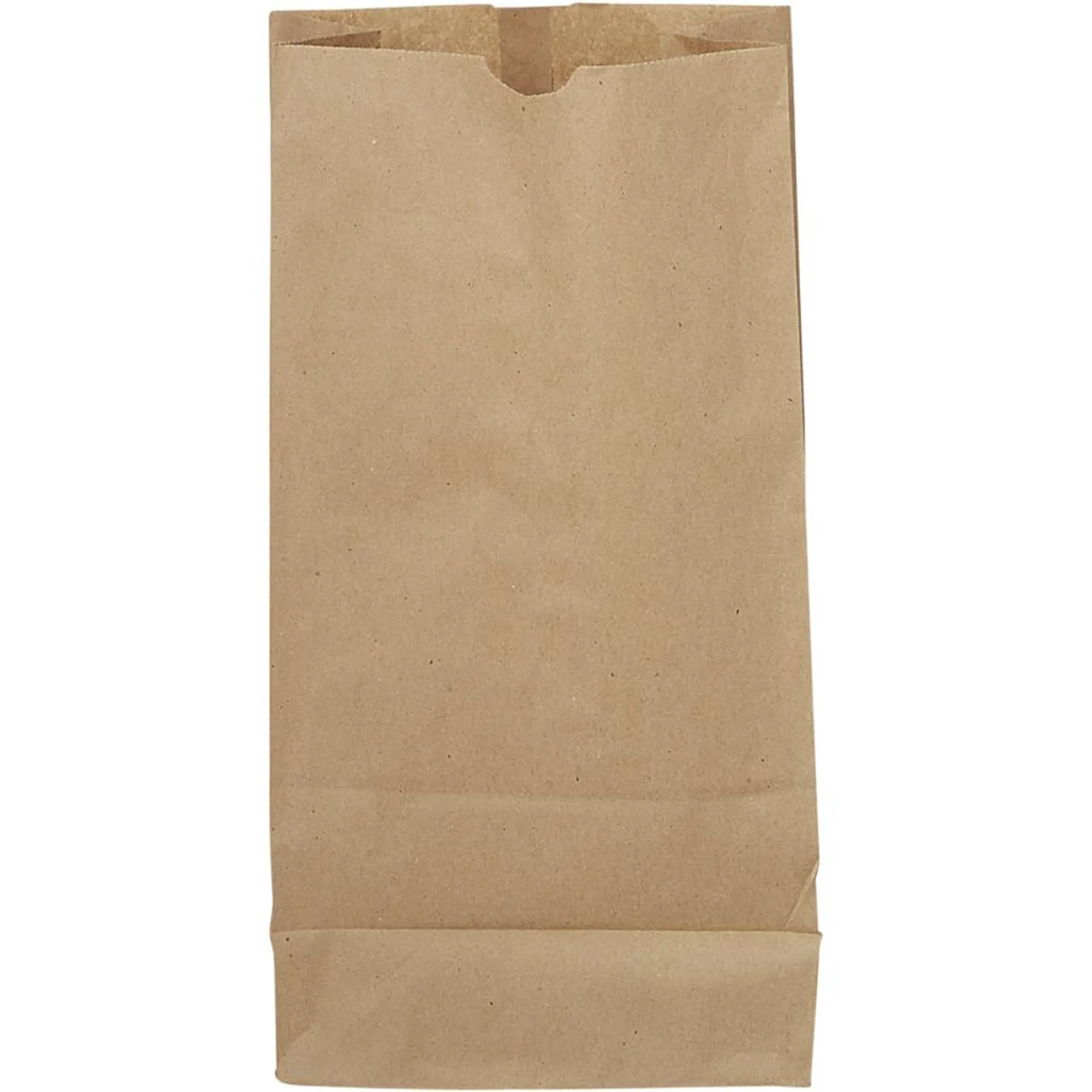 Kraft Paper Bags 20LB