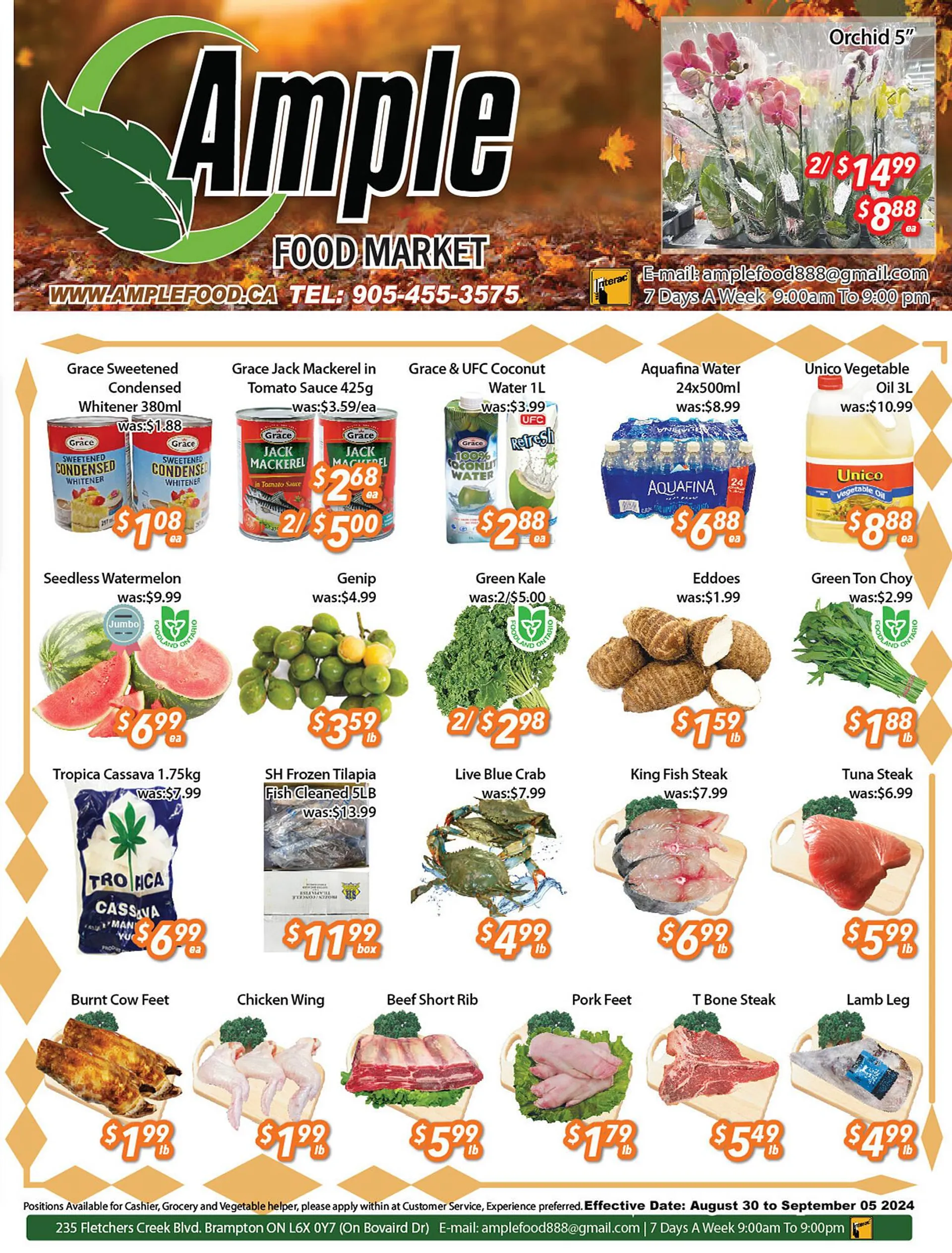 Ample Food Market flyer - 1