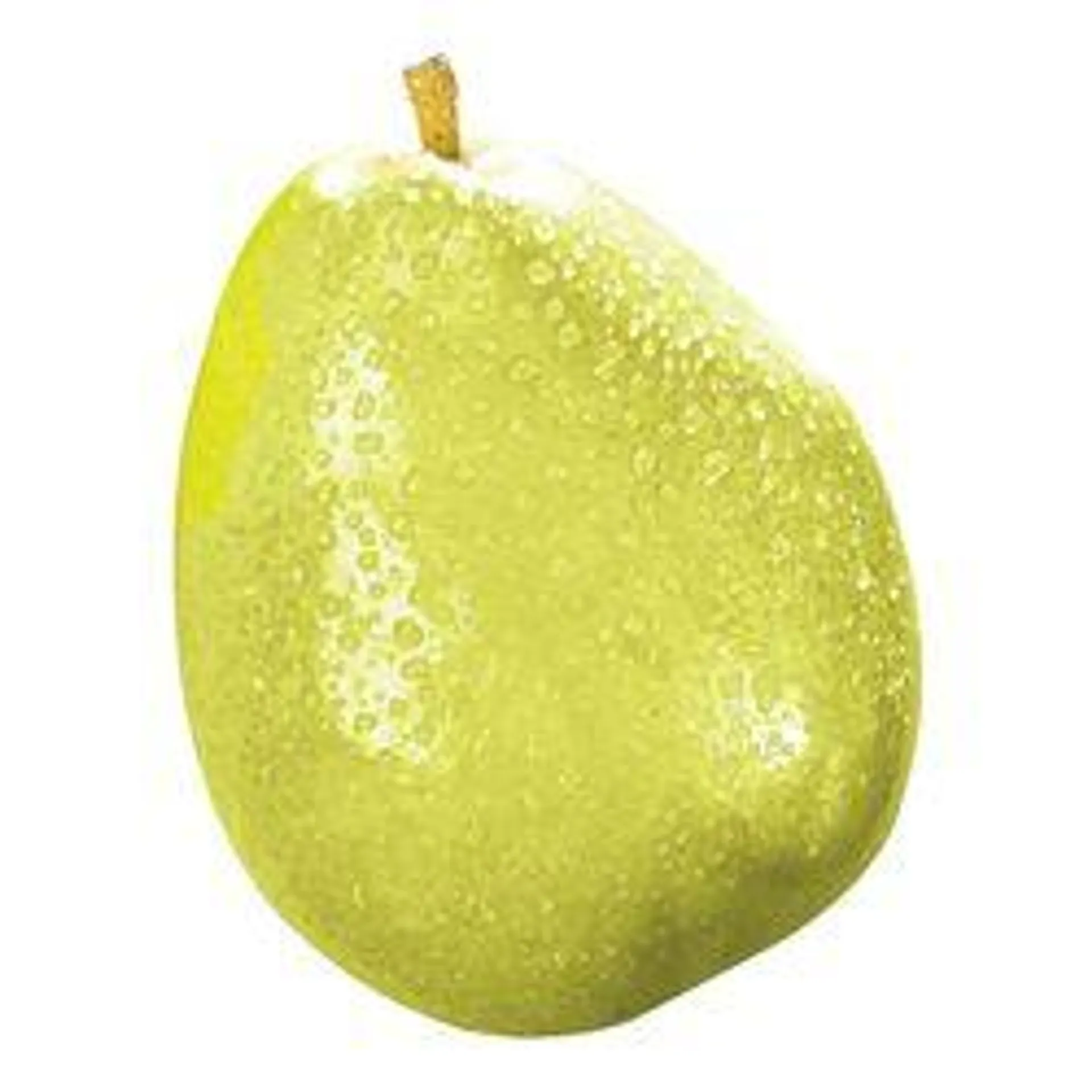 Anjou pear