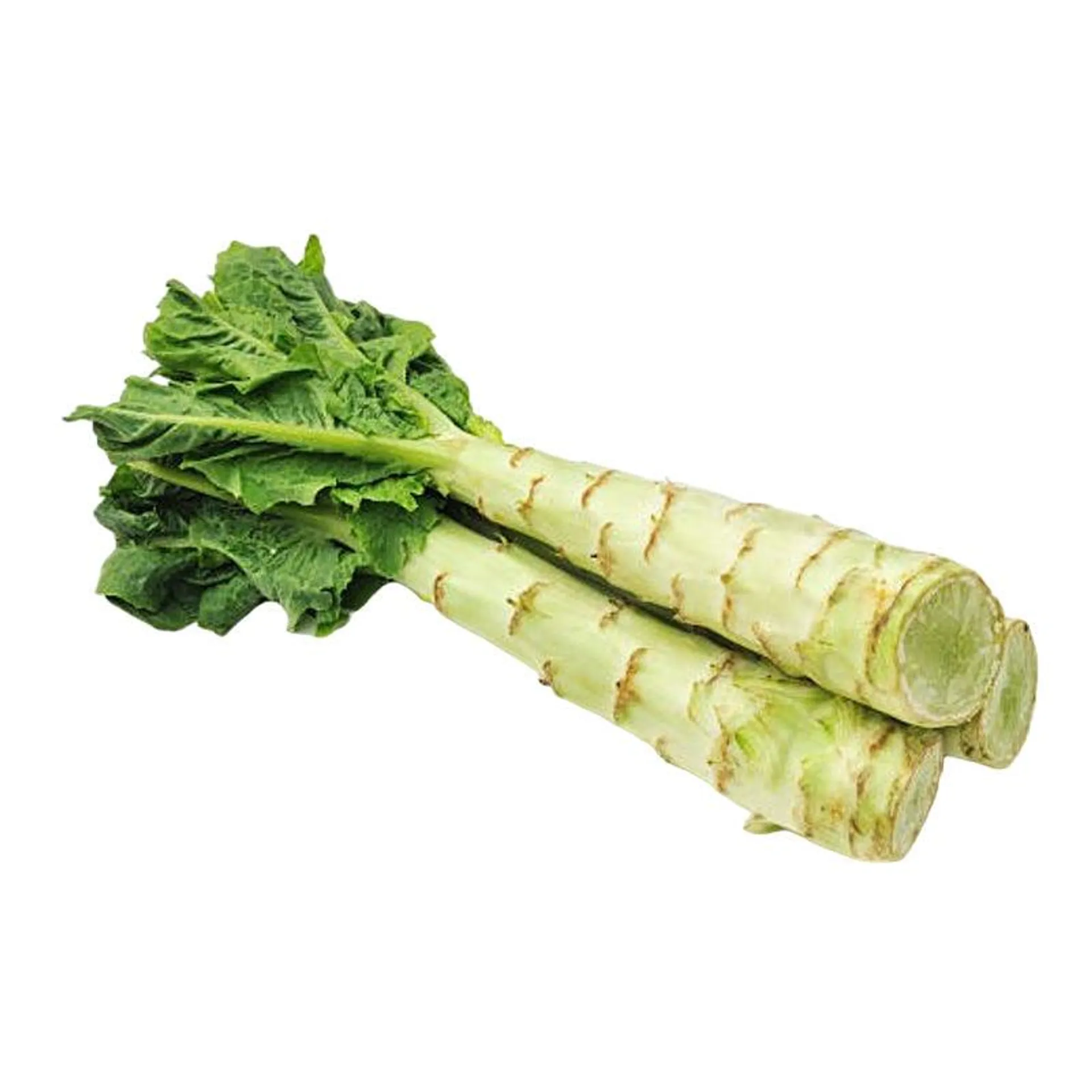 Celtuce 1 PC (About 400 g)