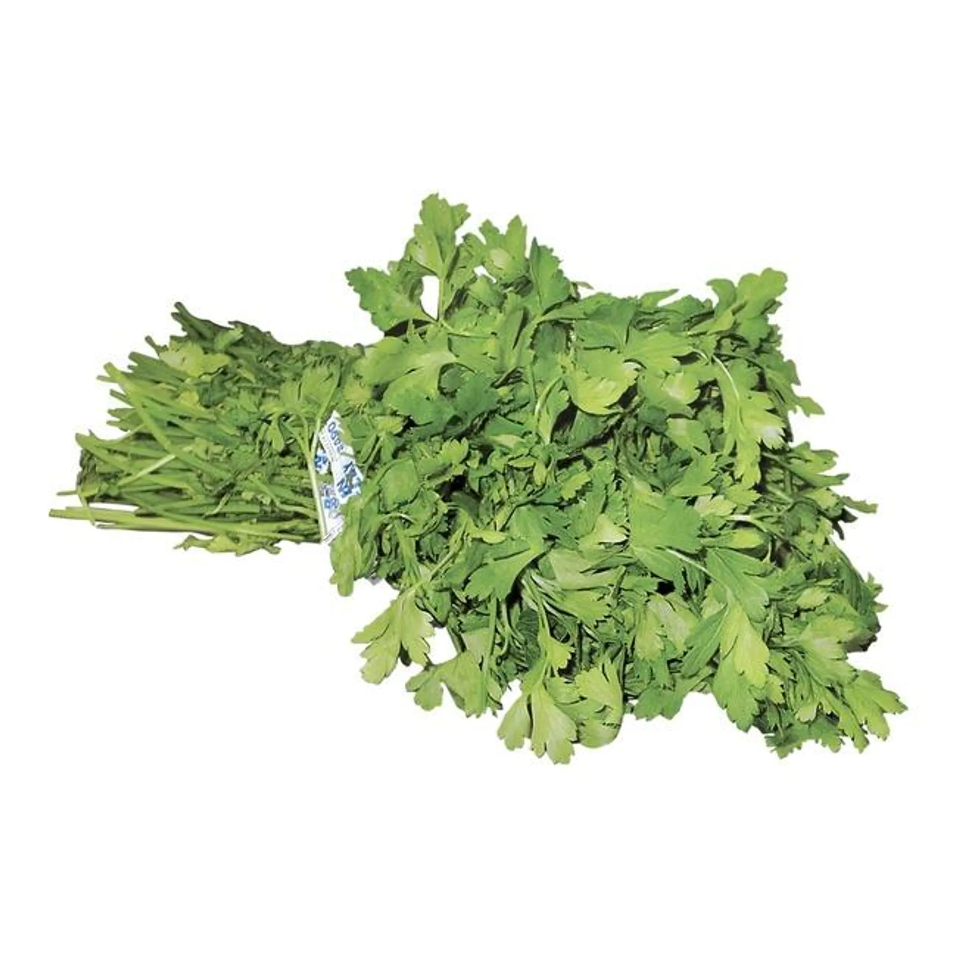 Herbs Parsley Italian