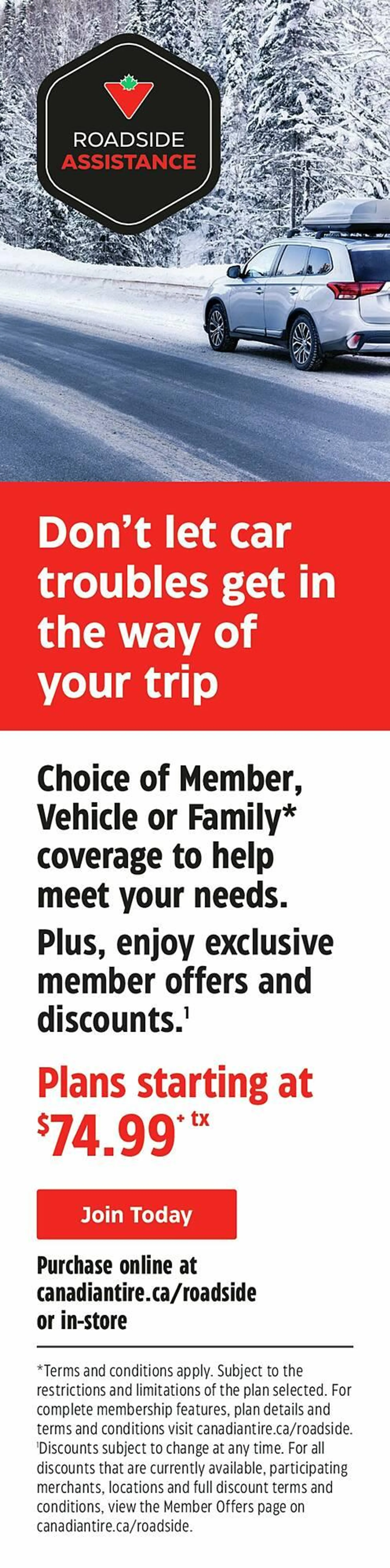 Canadian Tire flyer from November 28 to December 23 2024 - flyer page 22