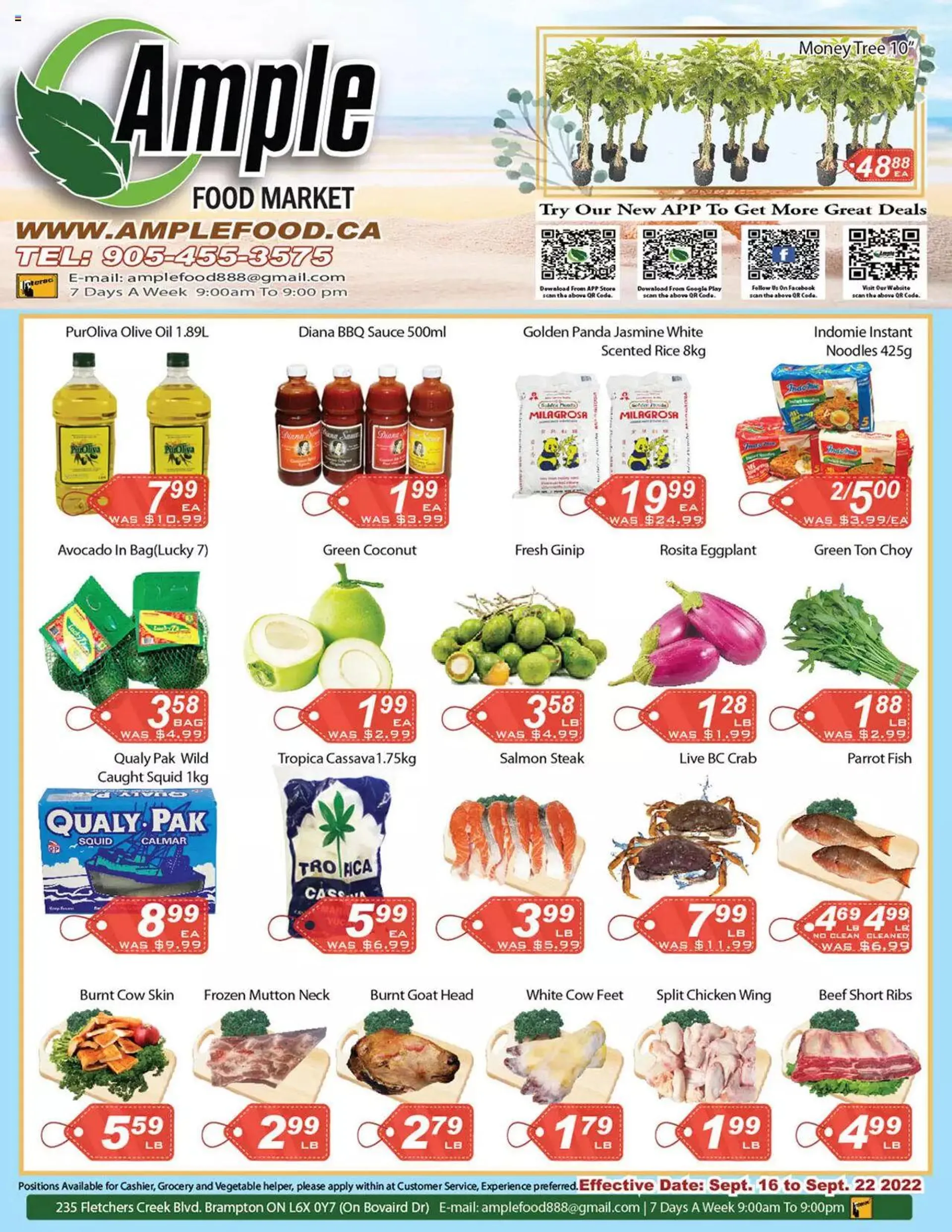 Ample Food Market flyer / circulaire - 0