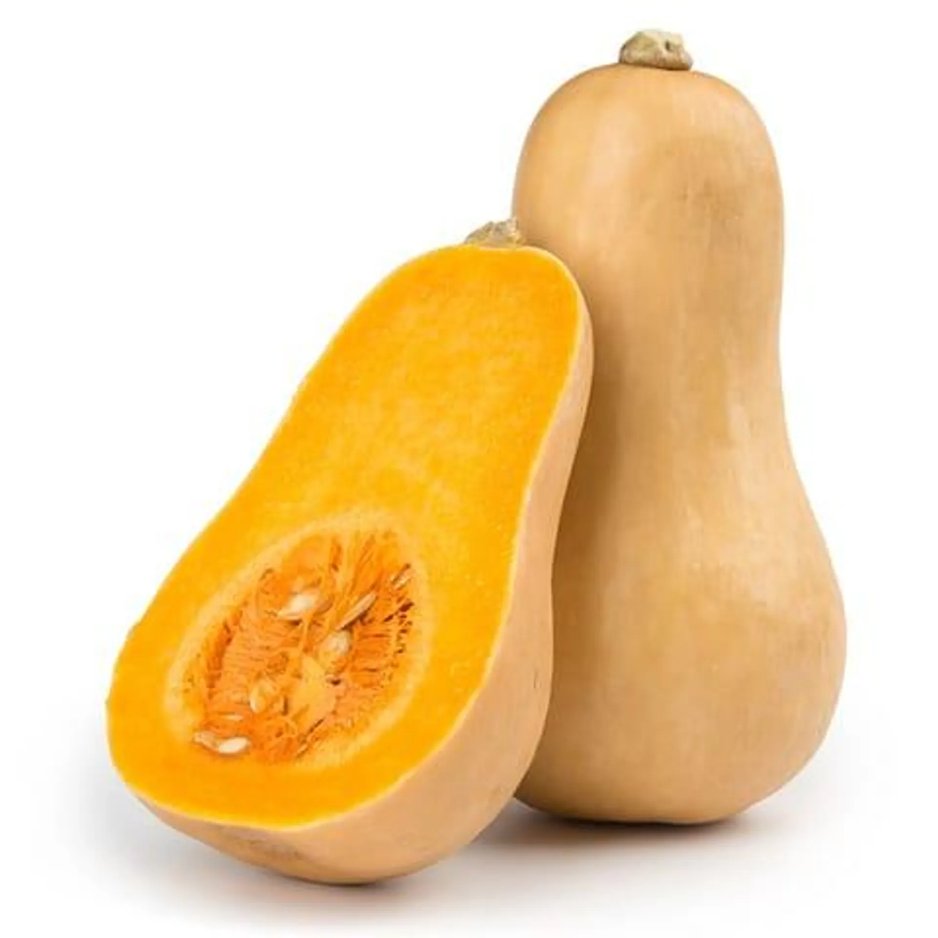 Courge butternut biologique