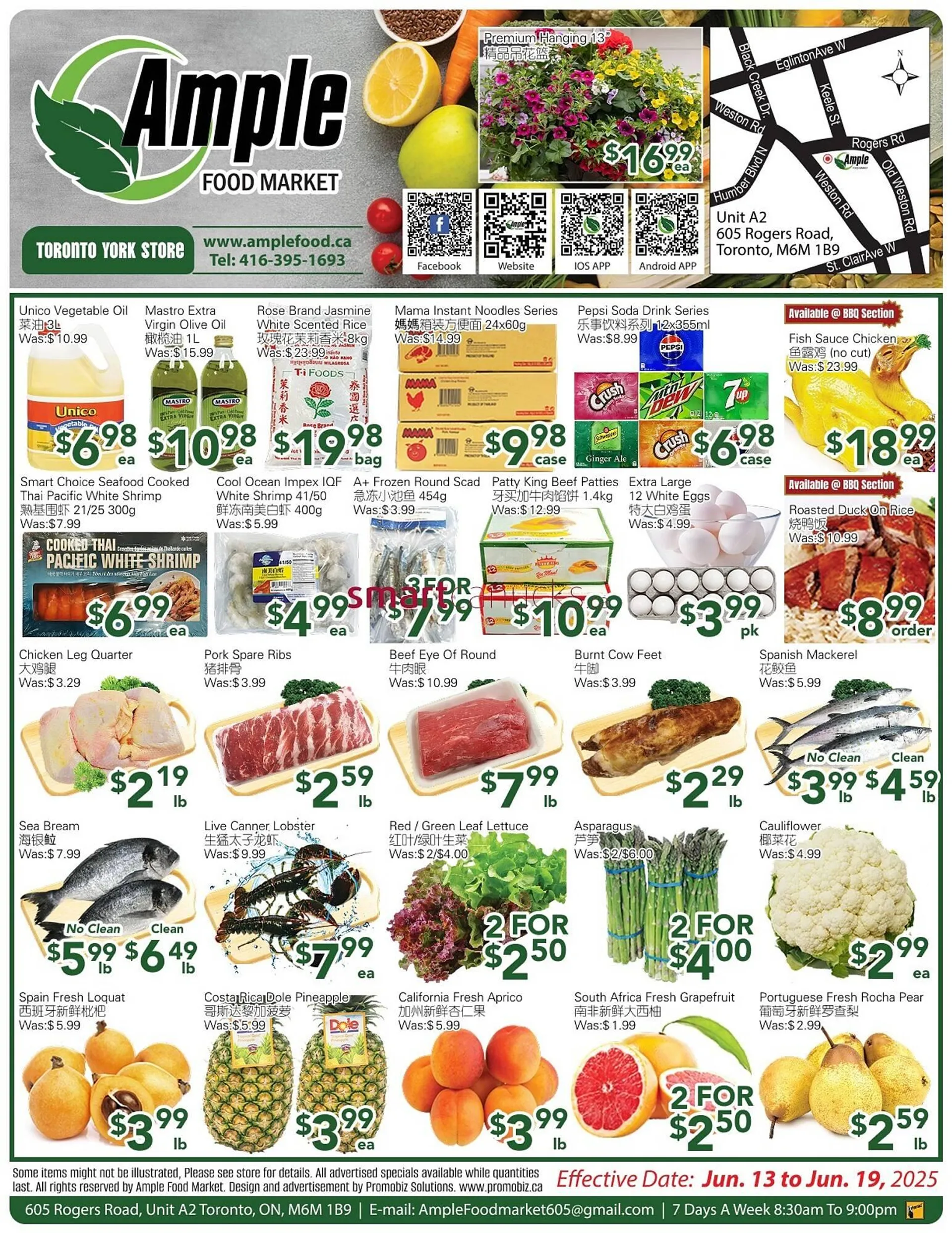 Ample Food Market flyer from June 13 to June 19 2025 - flyer page 1