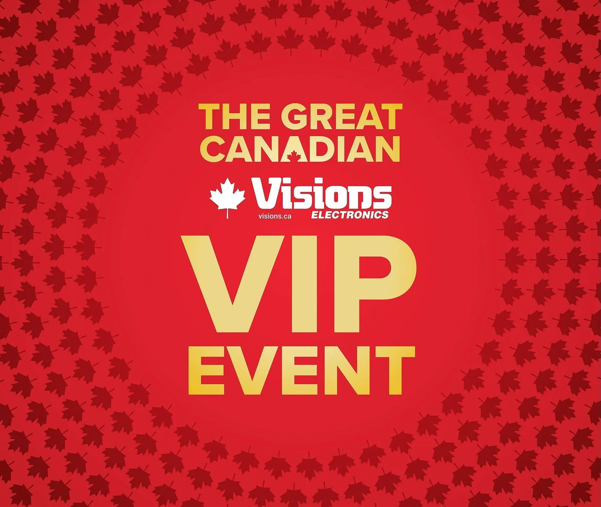 Visions Electronics flyer - 1