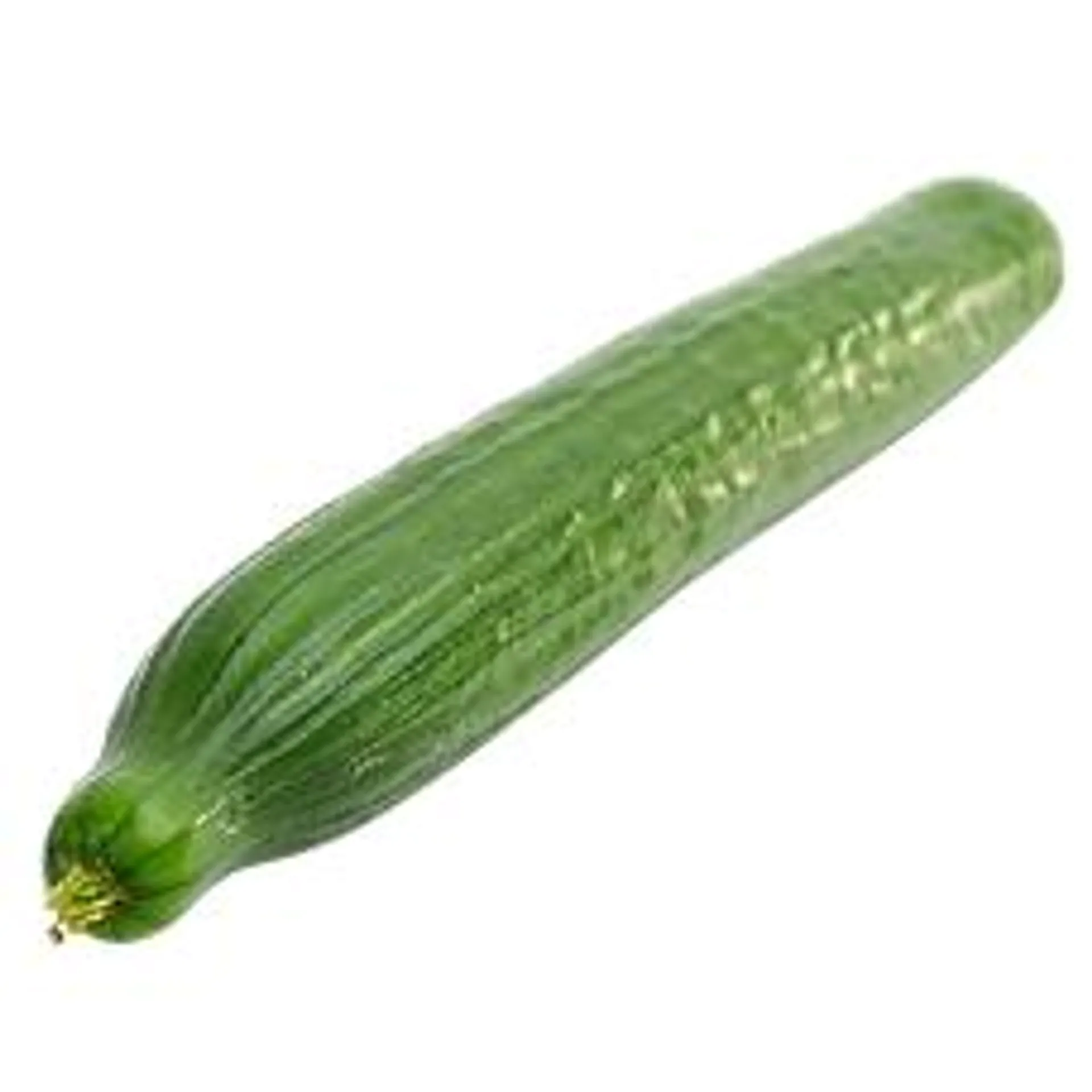 Seedless Cukes