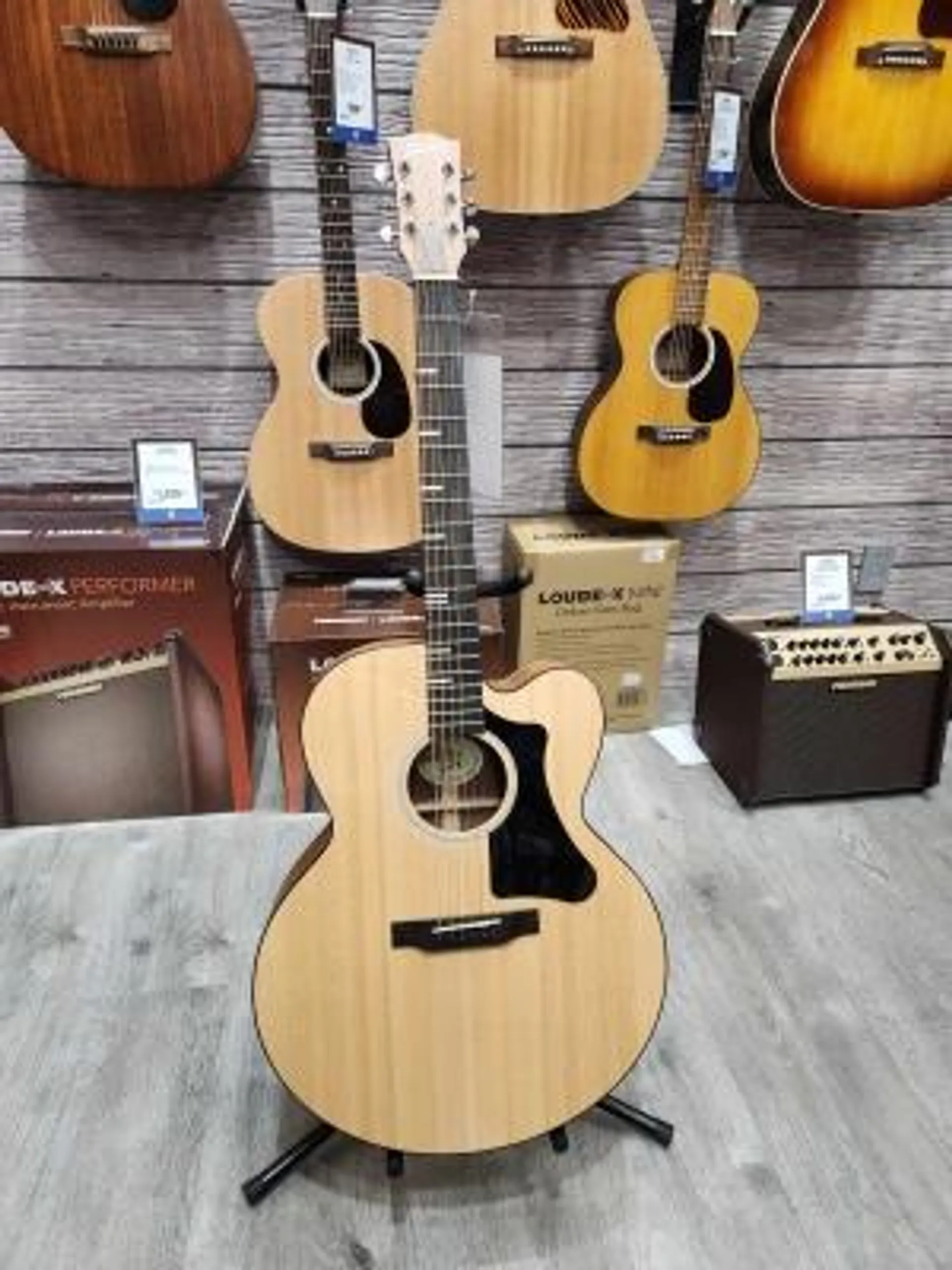 Gibson - ACG20ANNH