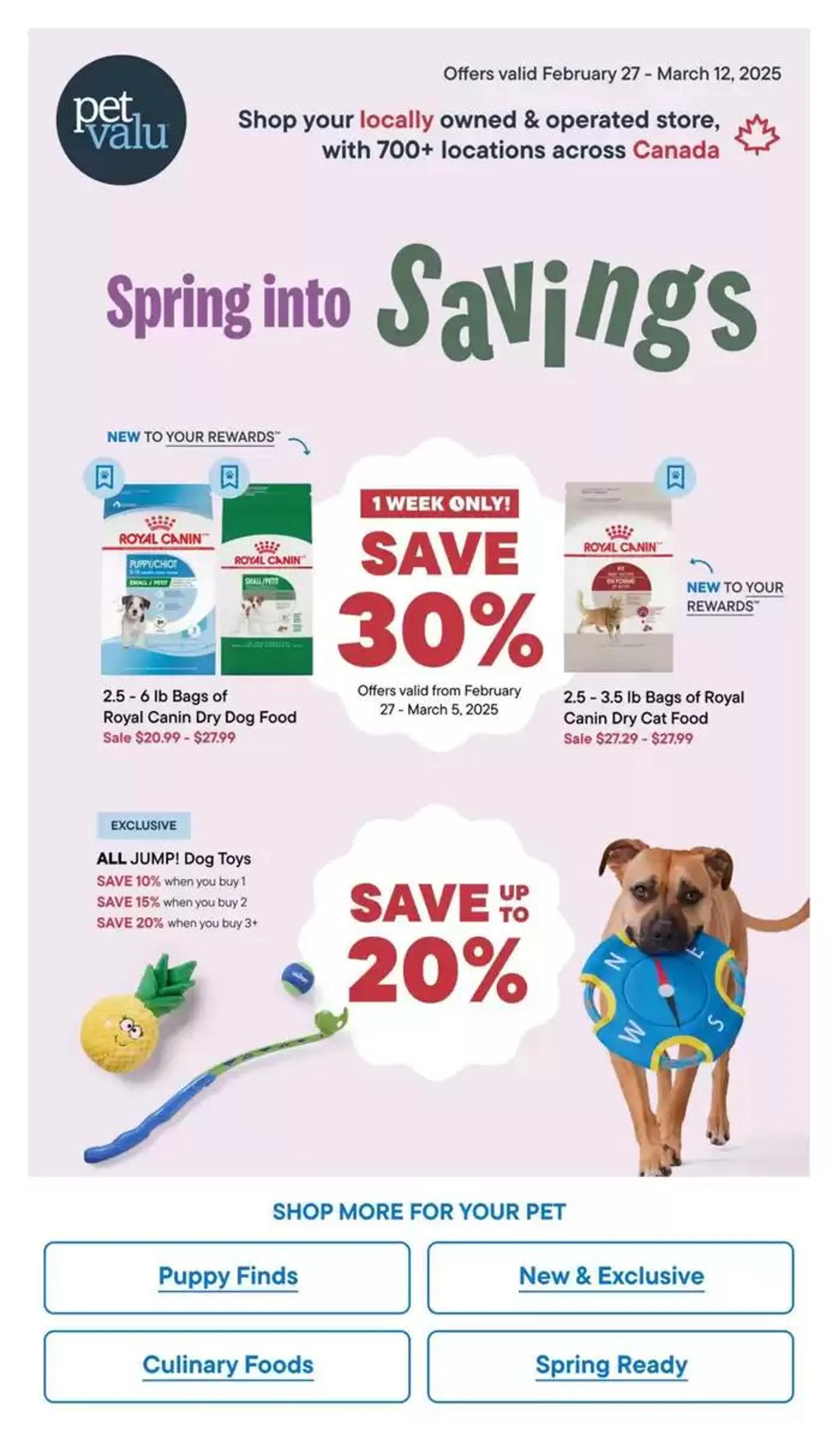 Spring into Savings - 1