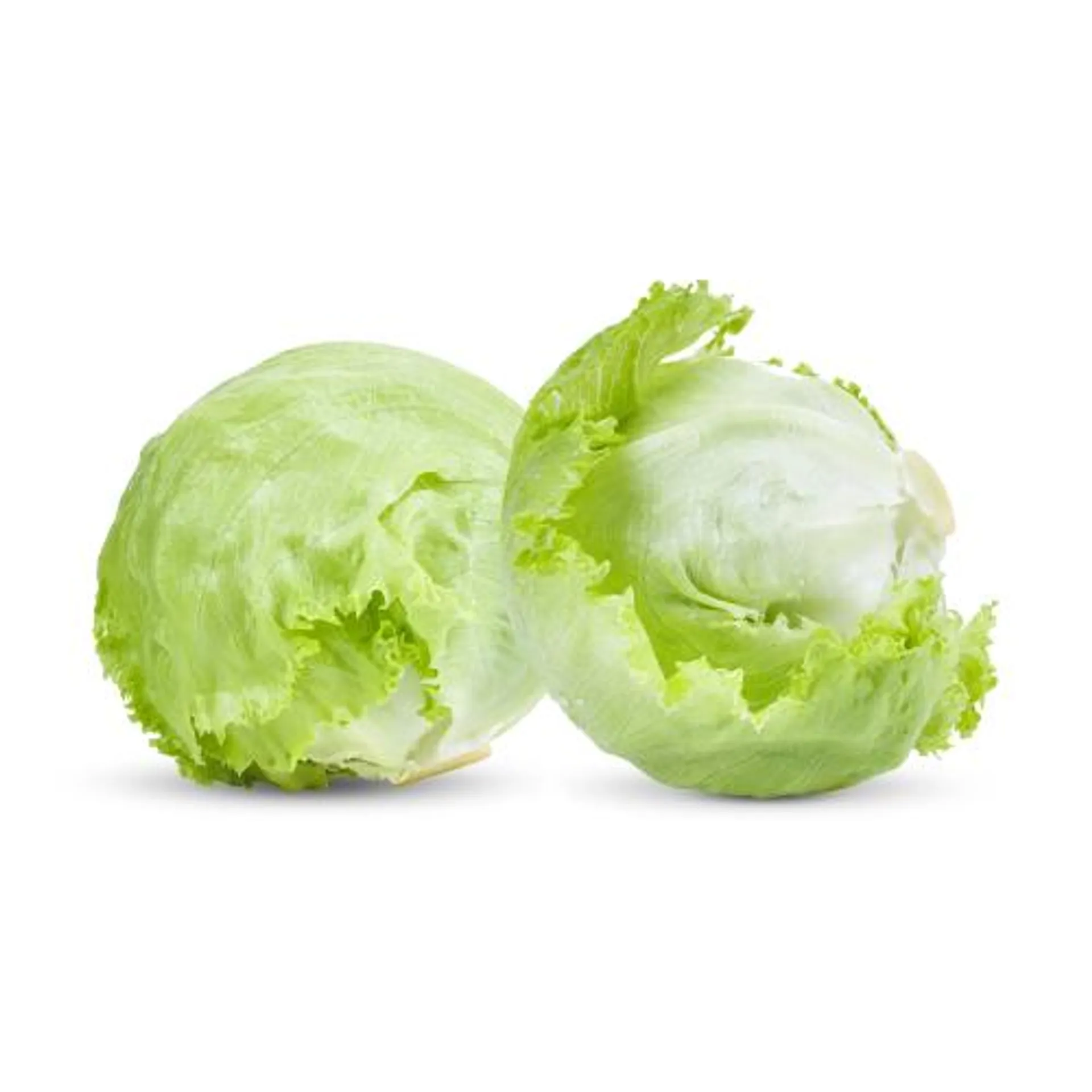 Cello Iceberg Lettuce