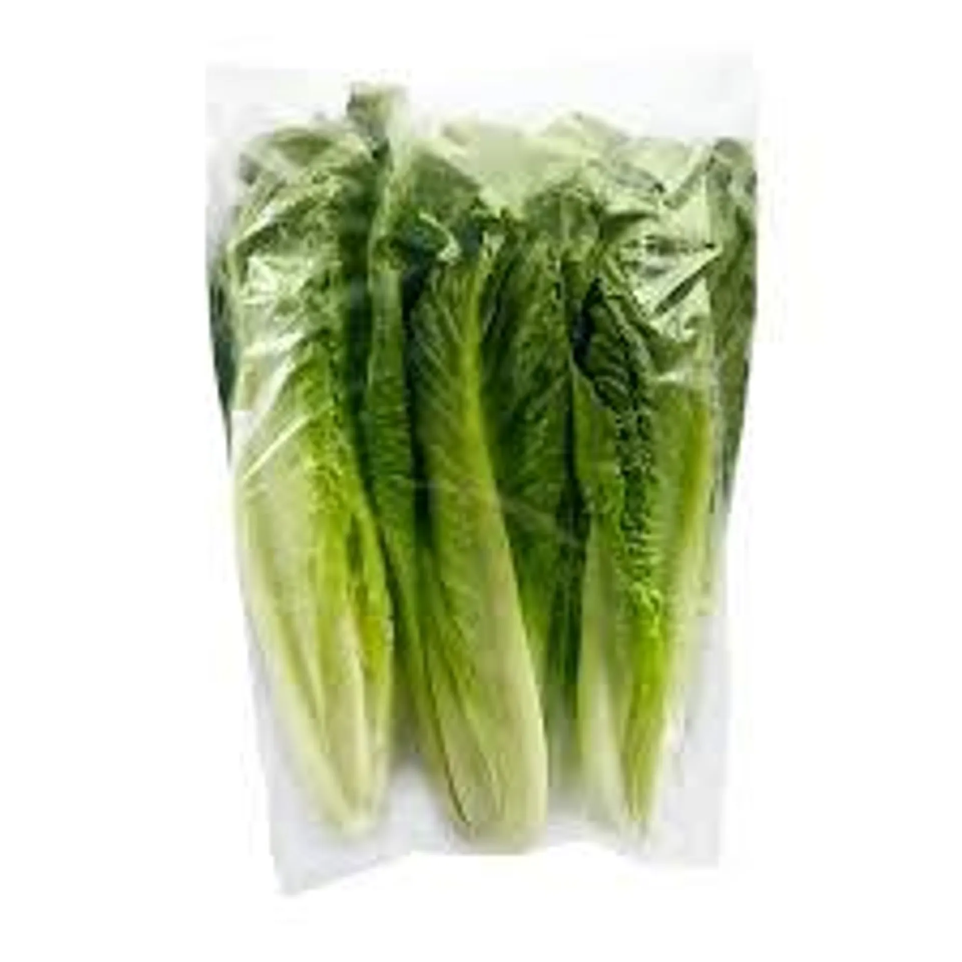 ROMAINE HEARTS 510GM