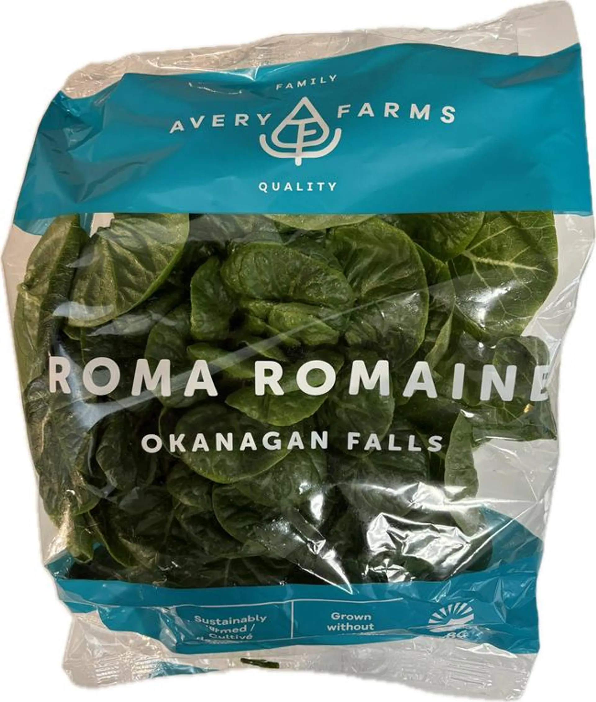 Avery Farms - Roma Romaine Living Lettuce