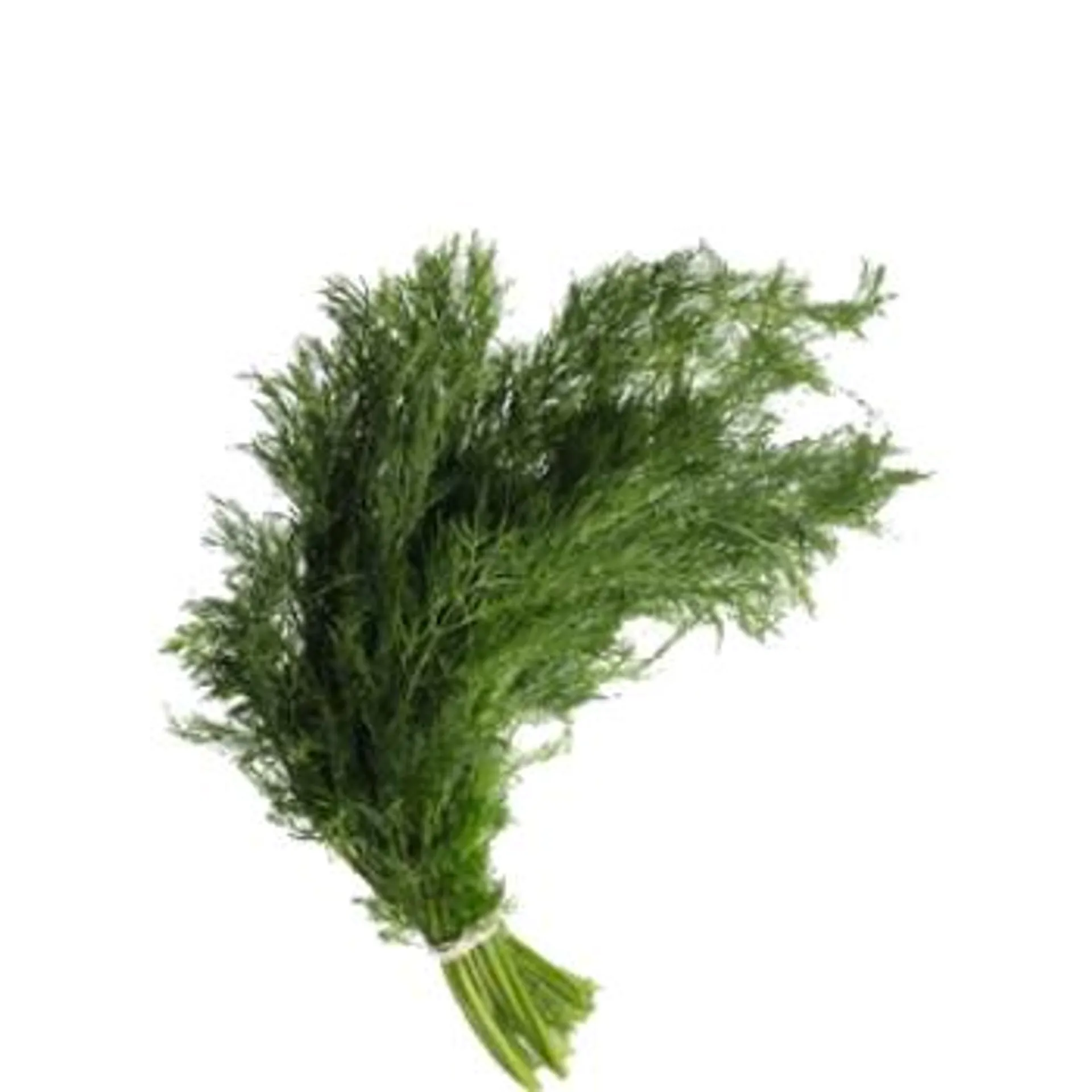 Dill Weed