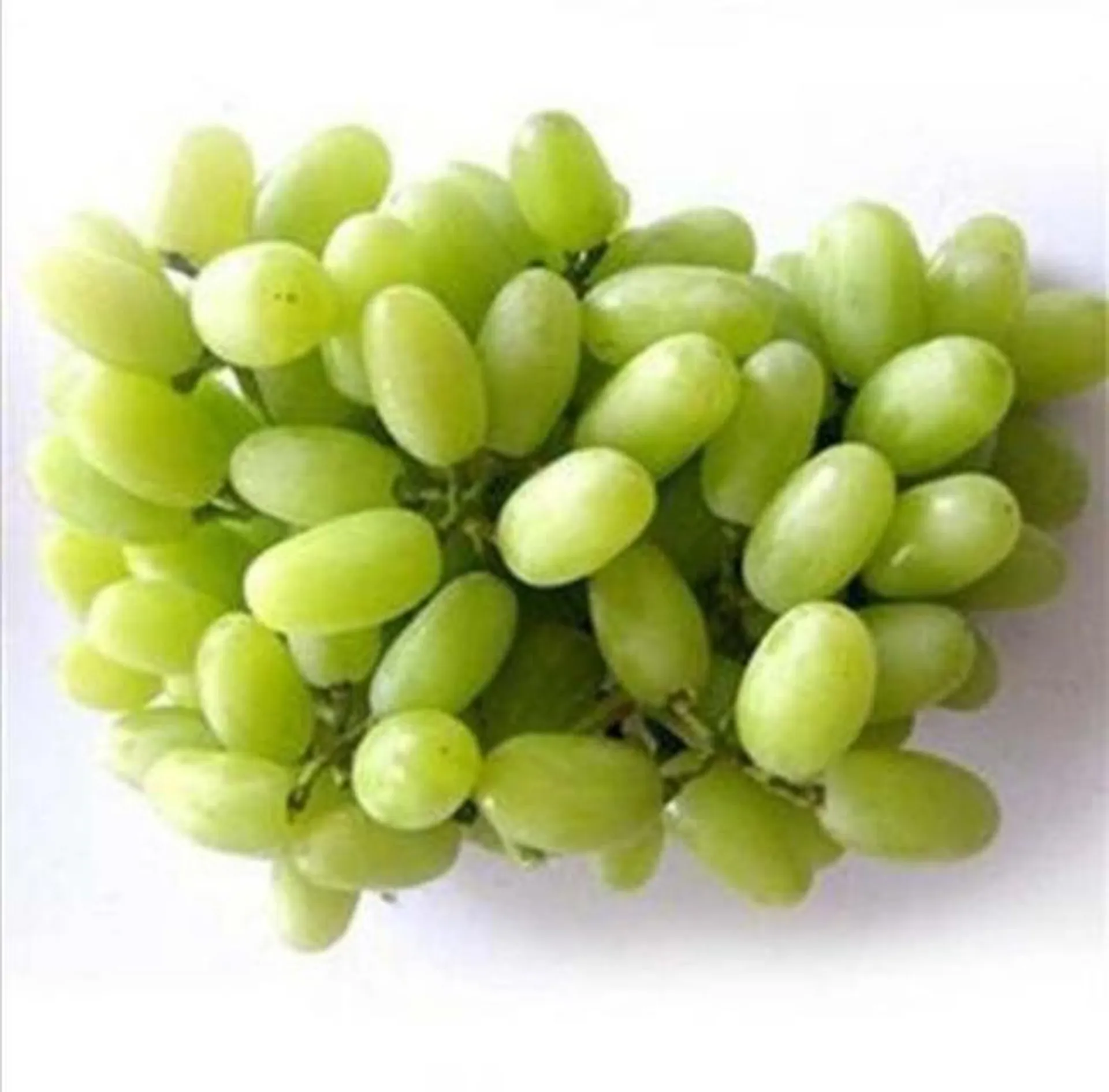 Green grape (approx 2lb) - 1pack