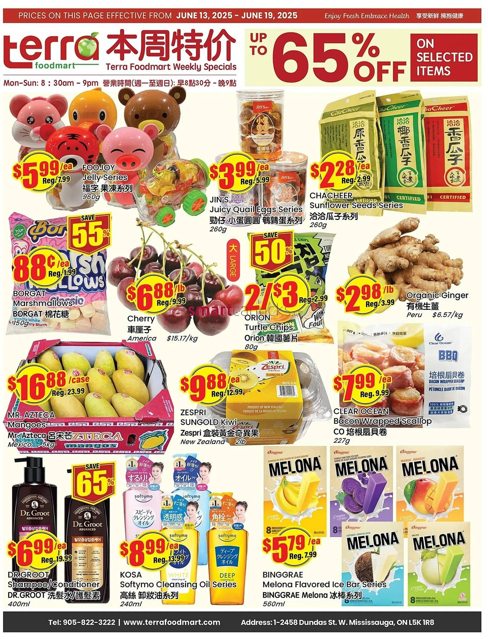 Terra Foodmart flyer from June 13 to June 19 2025 - flyer page 1