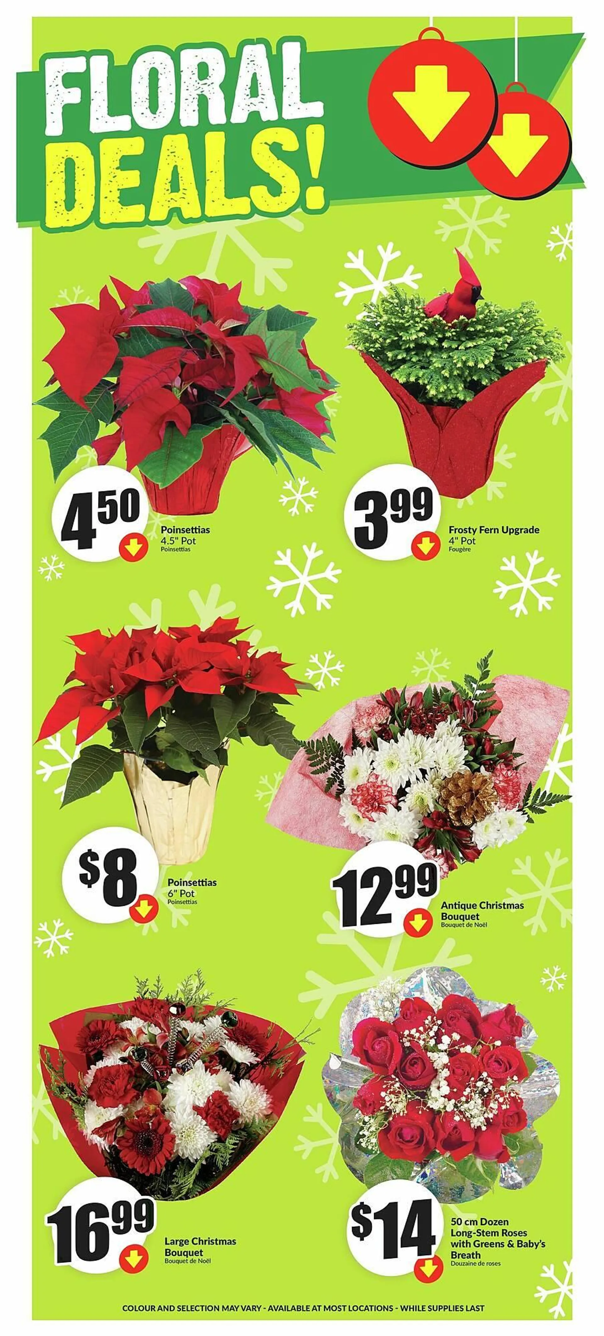 FreshCo flyer from December 12 to December 26 2024 - flyer page 5