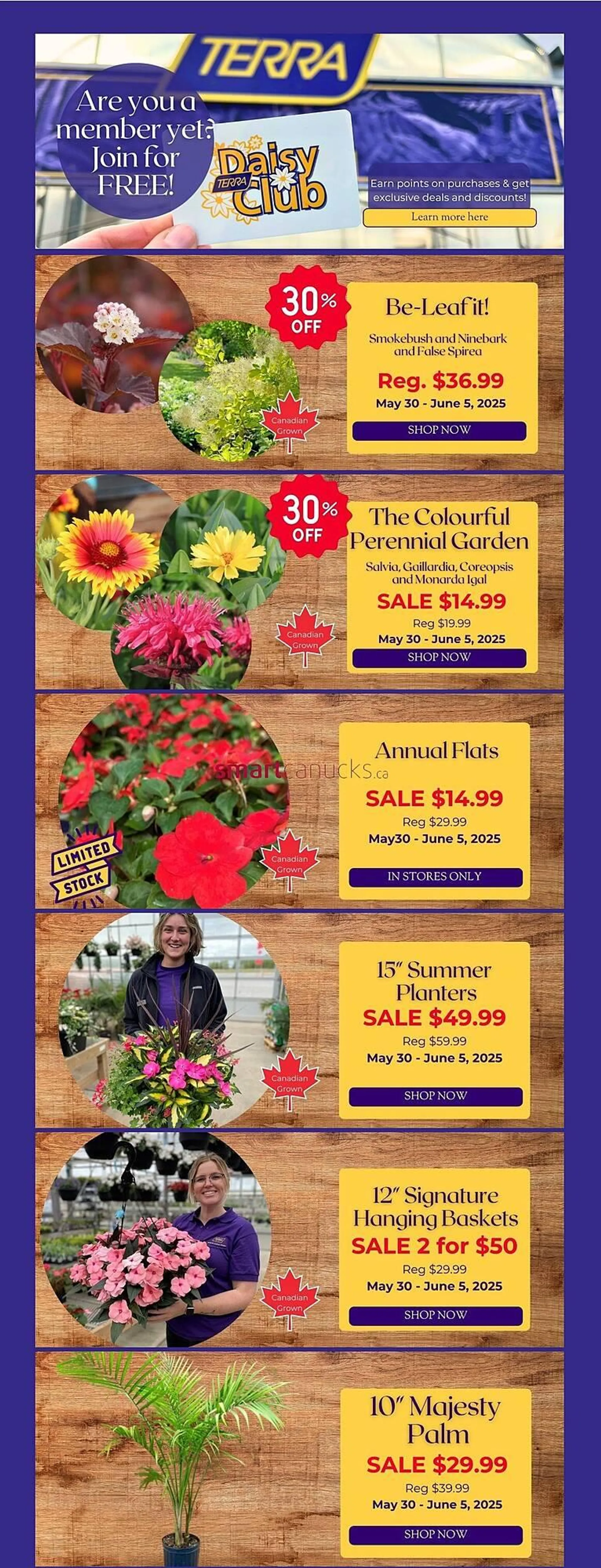 Terra Green Houses flyer from May 30 to June 3 2025 - flyer page 1