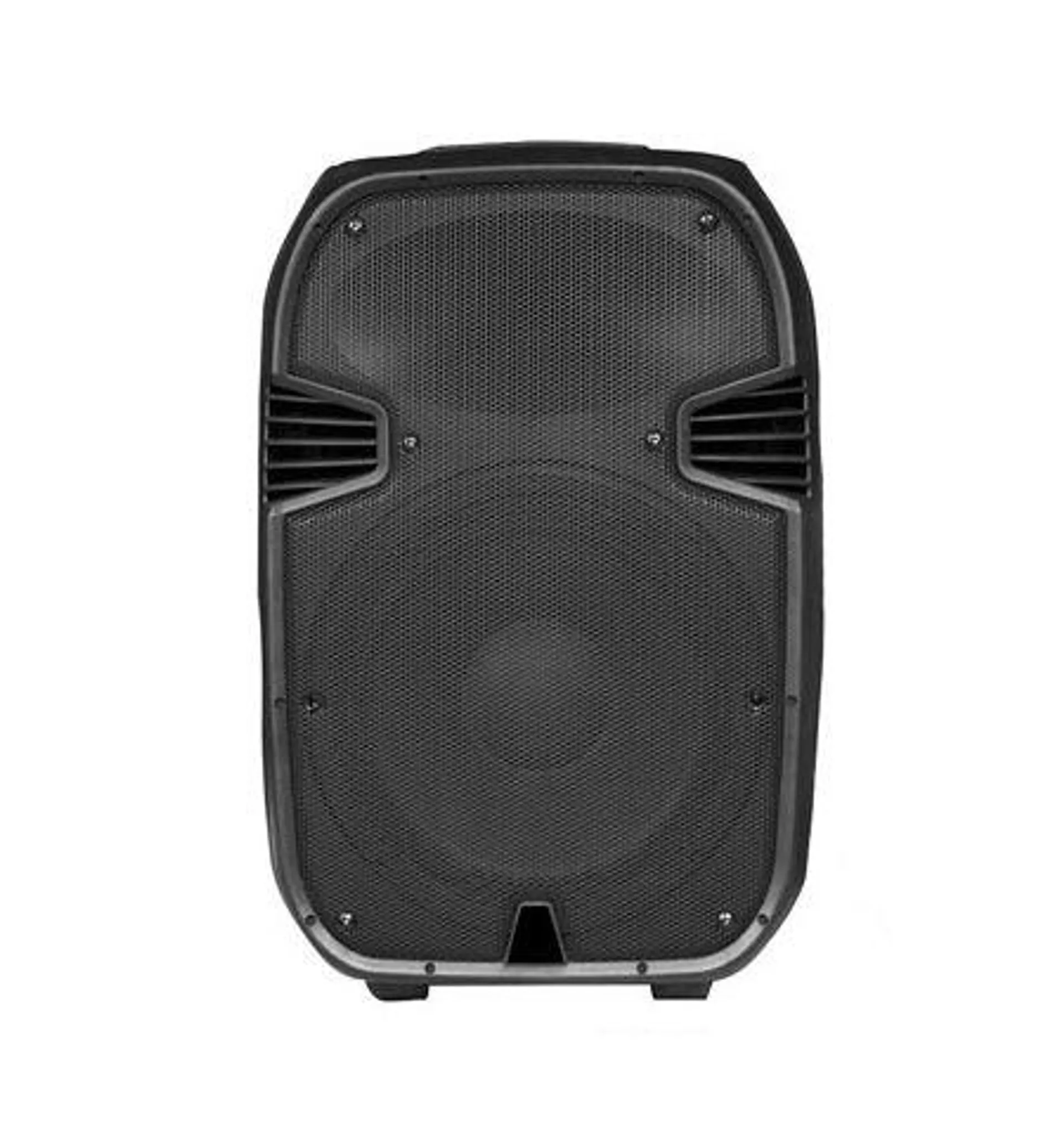 Amplified 800W 10" DJ Speaker