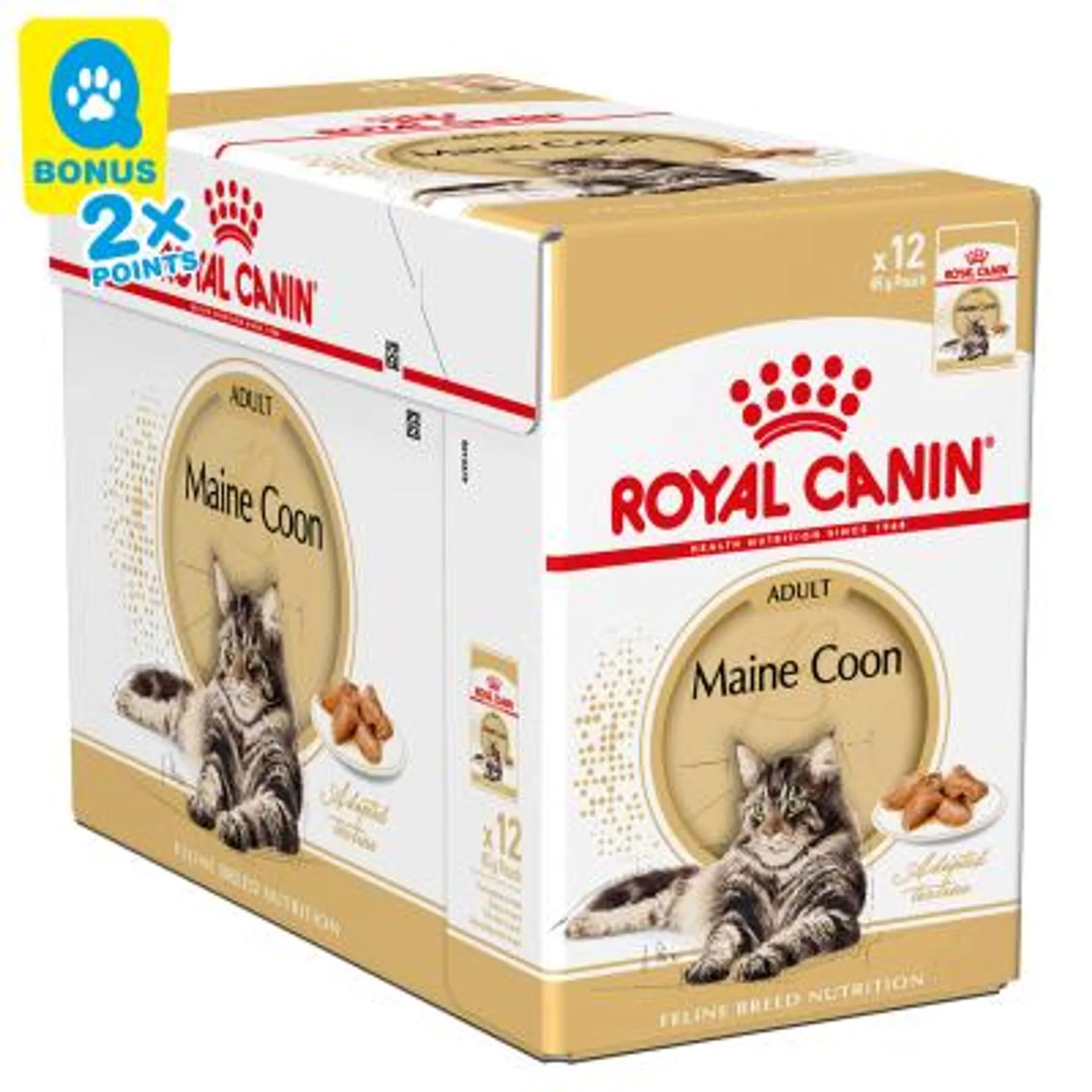Royal Canin Katze Mainecoon 12x85g